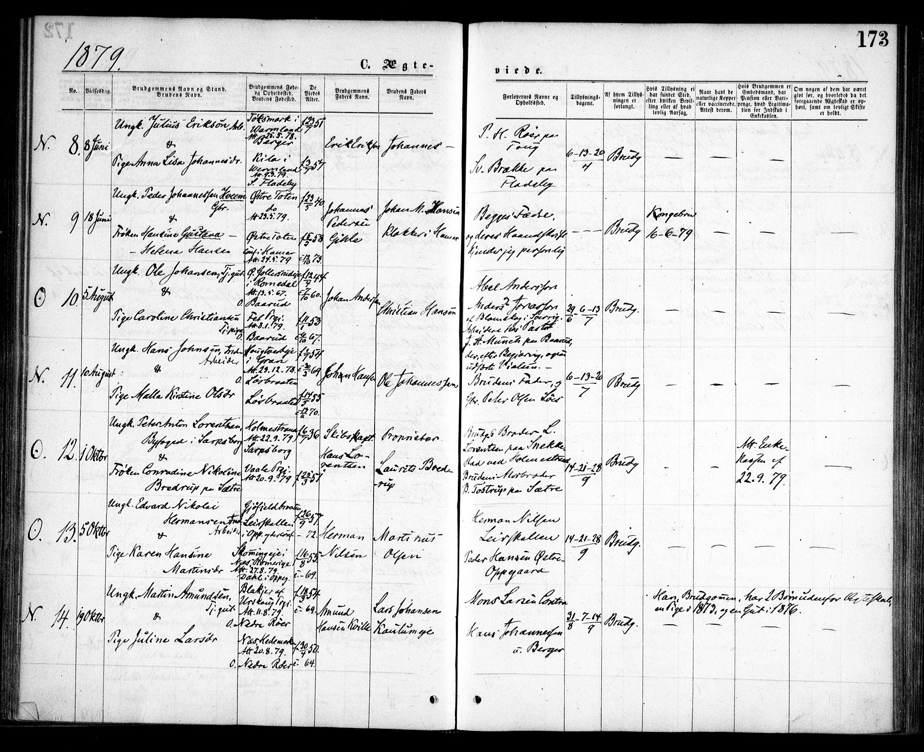 Nesodden prestekontor Kirkebøker, AV/SAO-A-10013/F/Fa/L0008: Parish register (official) no. I 8, 1869-1879, p. 173