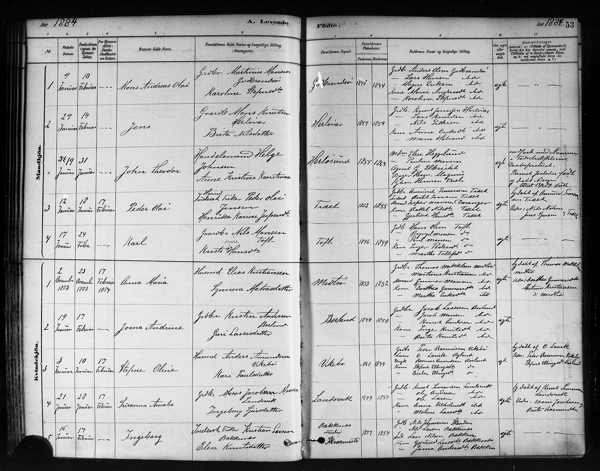 Herdla Sokneprestembete, AV/SAB-A-75701/H/Haa: Parish register (official) no. A 3, 1878-1890, p. 53