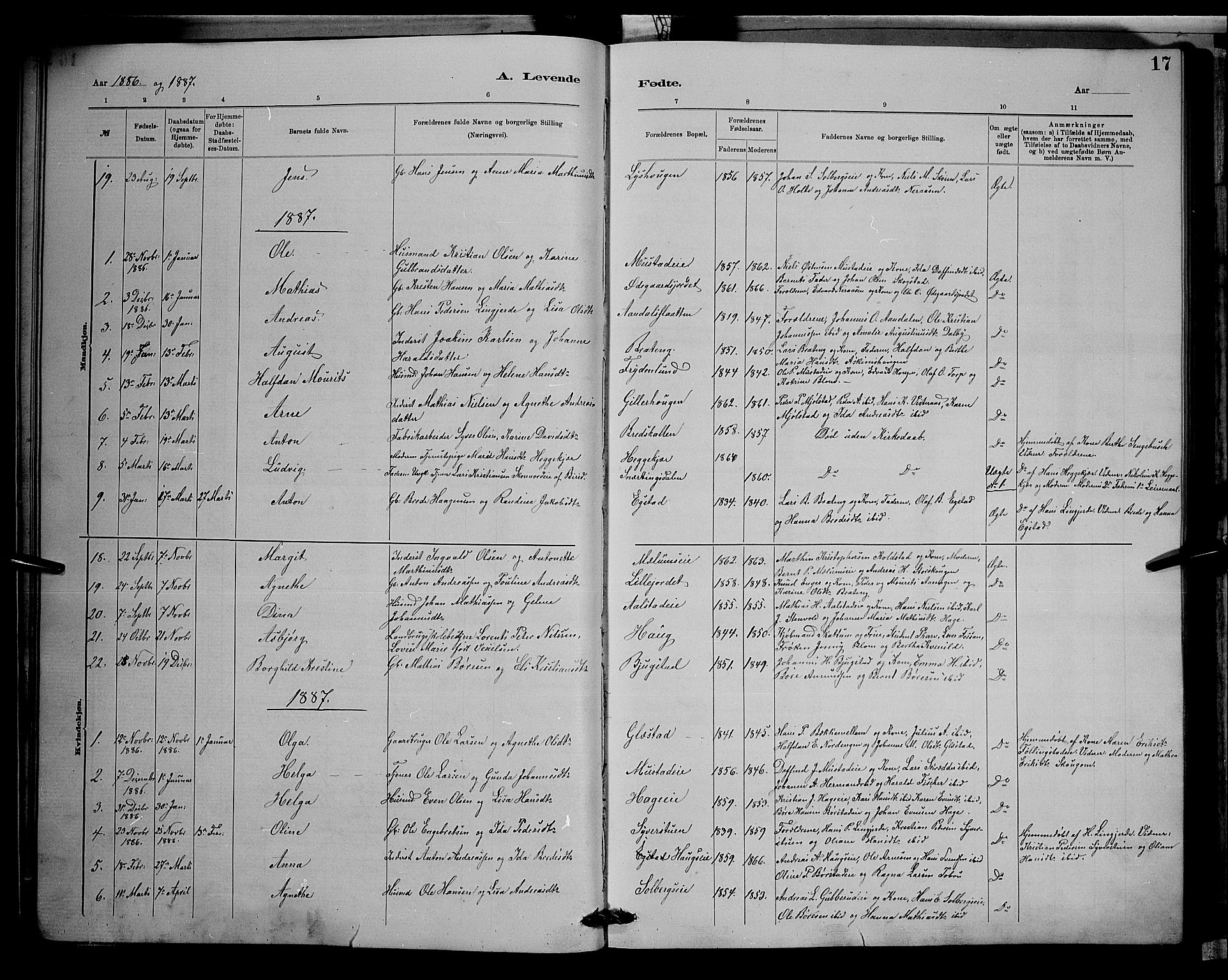 Vardal prestekontor, SAH/PREST-100/H/Ha/Hab/L0008: Parish register (copy) no. 8, 1881-1898, p. 17