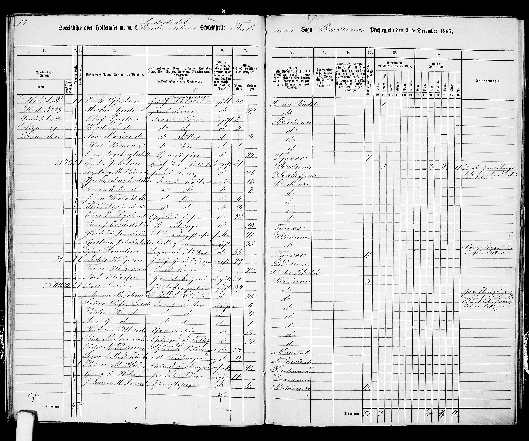 RA, 1865 census for Skudenes, 1865, p. 221