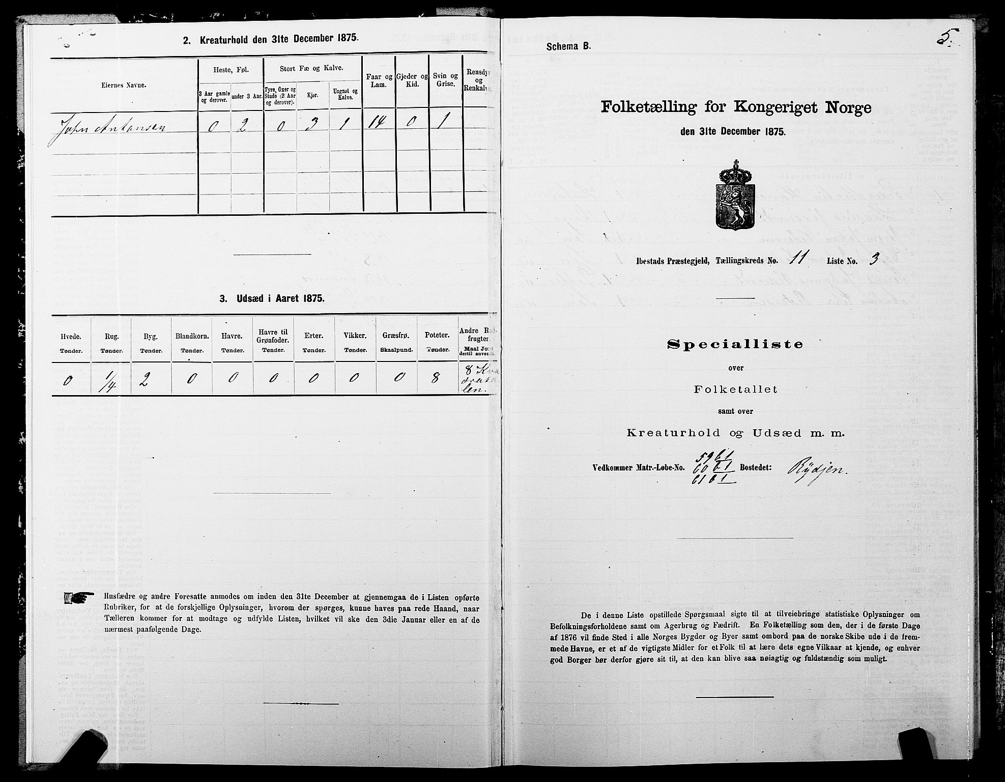 SATØ, 1875 census for 1917P Ibestad, 1875, p. 8005