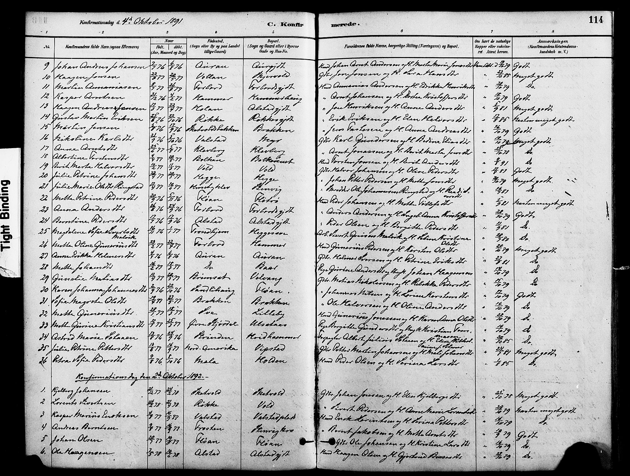 Ministerialprotokoller, klokkerbøker og fødselsregistre - Nord-Trøndelag, SAT/A-1458/712/L0100: Parish register (official) no. 712A01, 1880-1900, p. 114