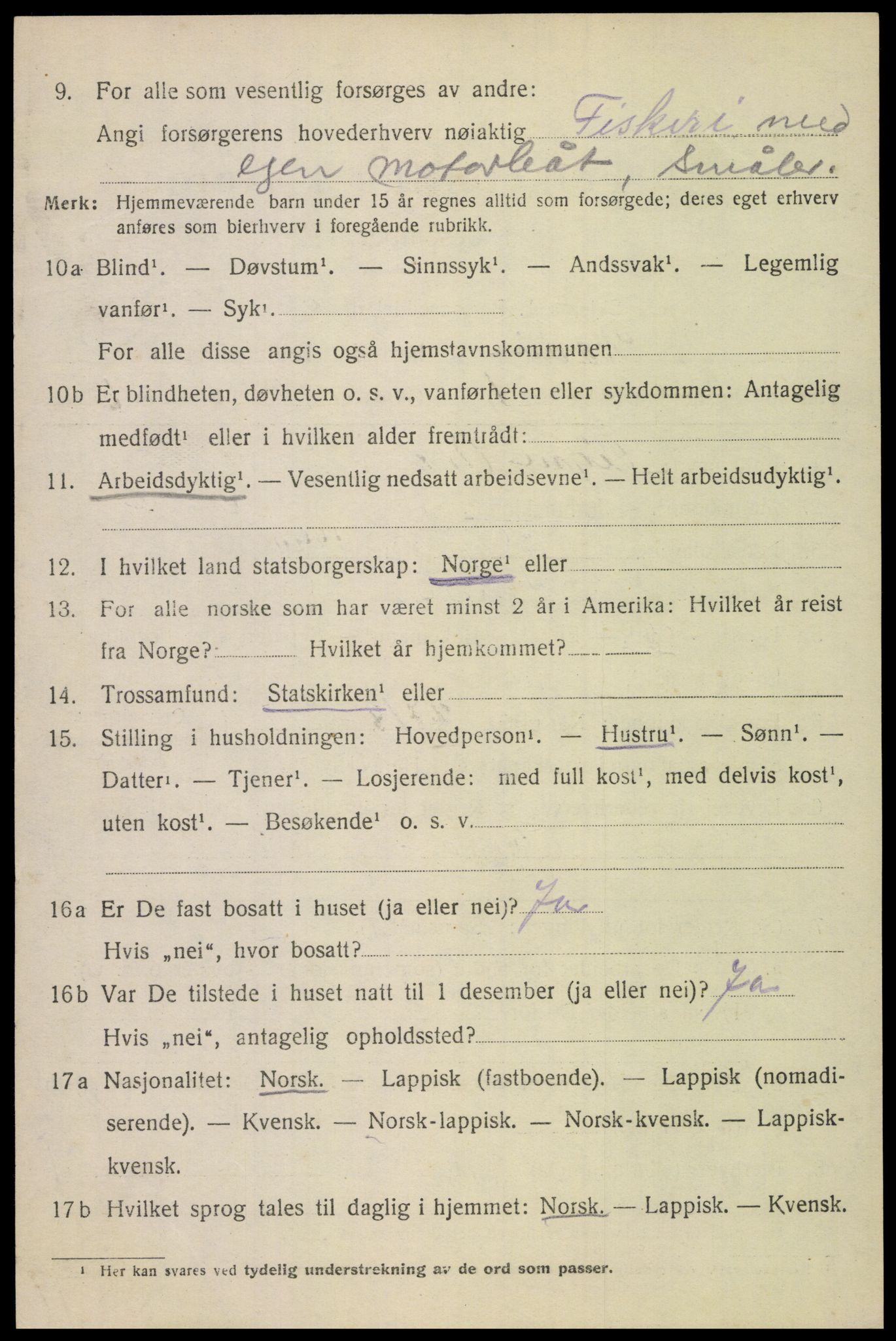 SAT, 1920 census for Bodin, 1920, p. 10125