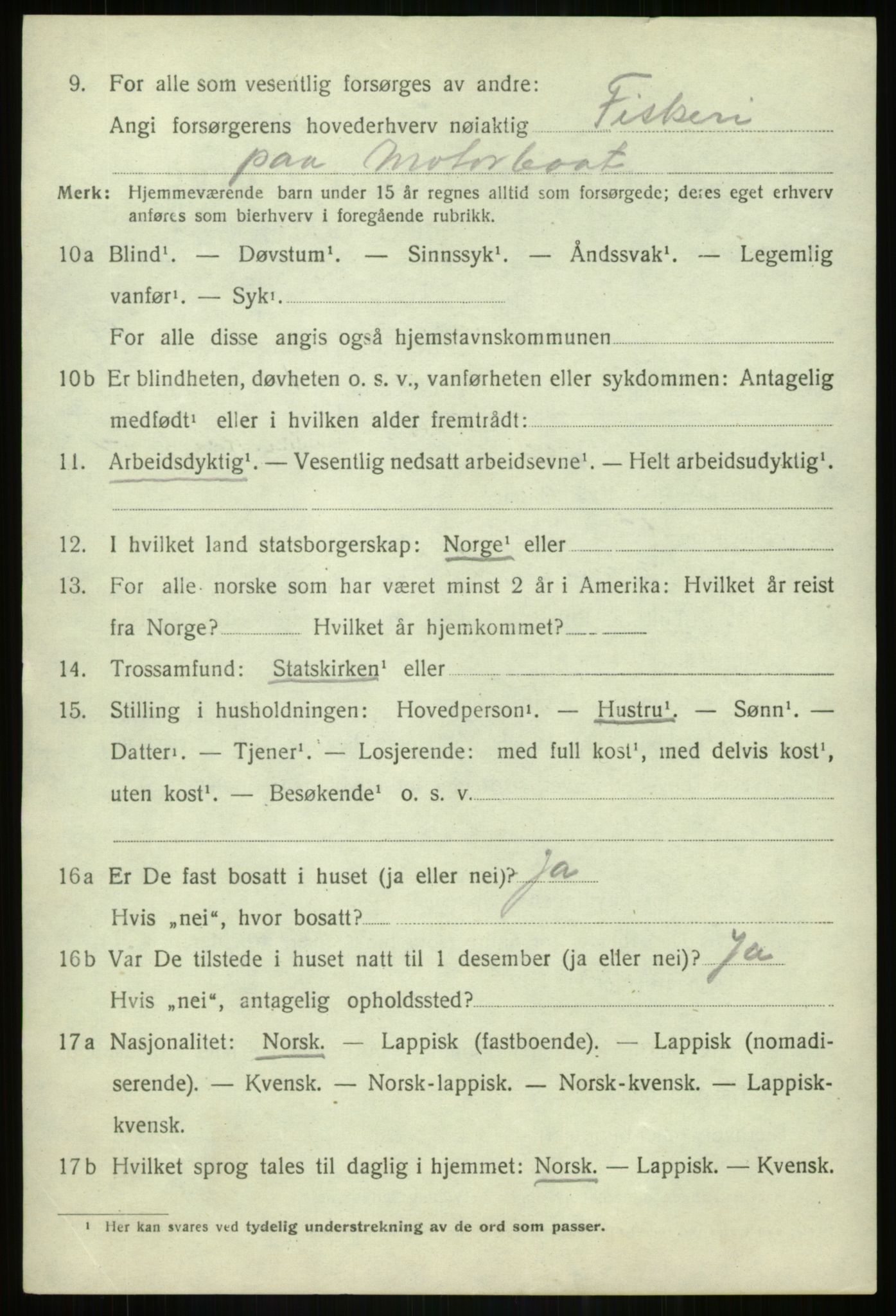 SATØ, 1920 census for Lenvik, 1920, p. 12289