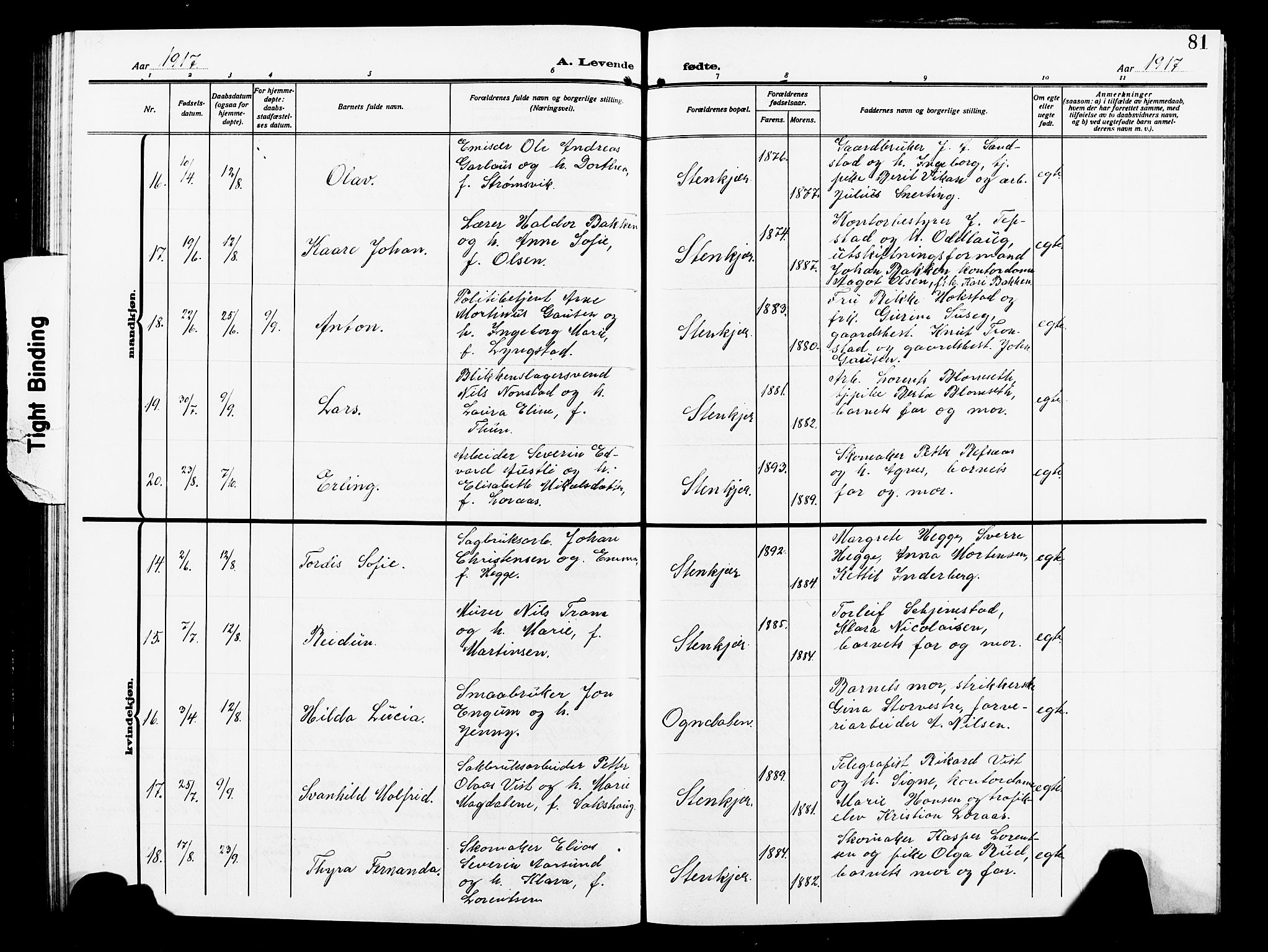 Ministerialprotokoller, klokkerbøker og fødselsregistre - Nord-Trøndelag, AV/SAT-A-1458/739/L0376: Parish register (copy) no. 739C04, 1908-1917, p. 81