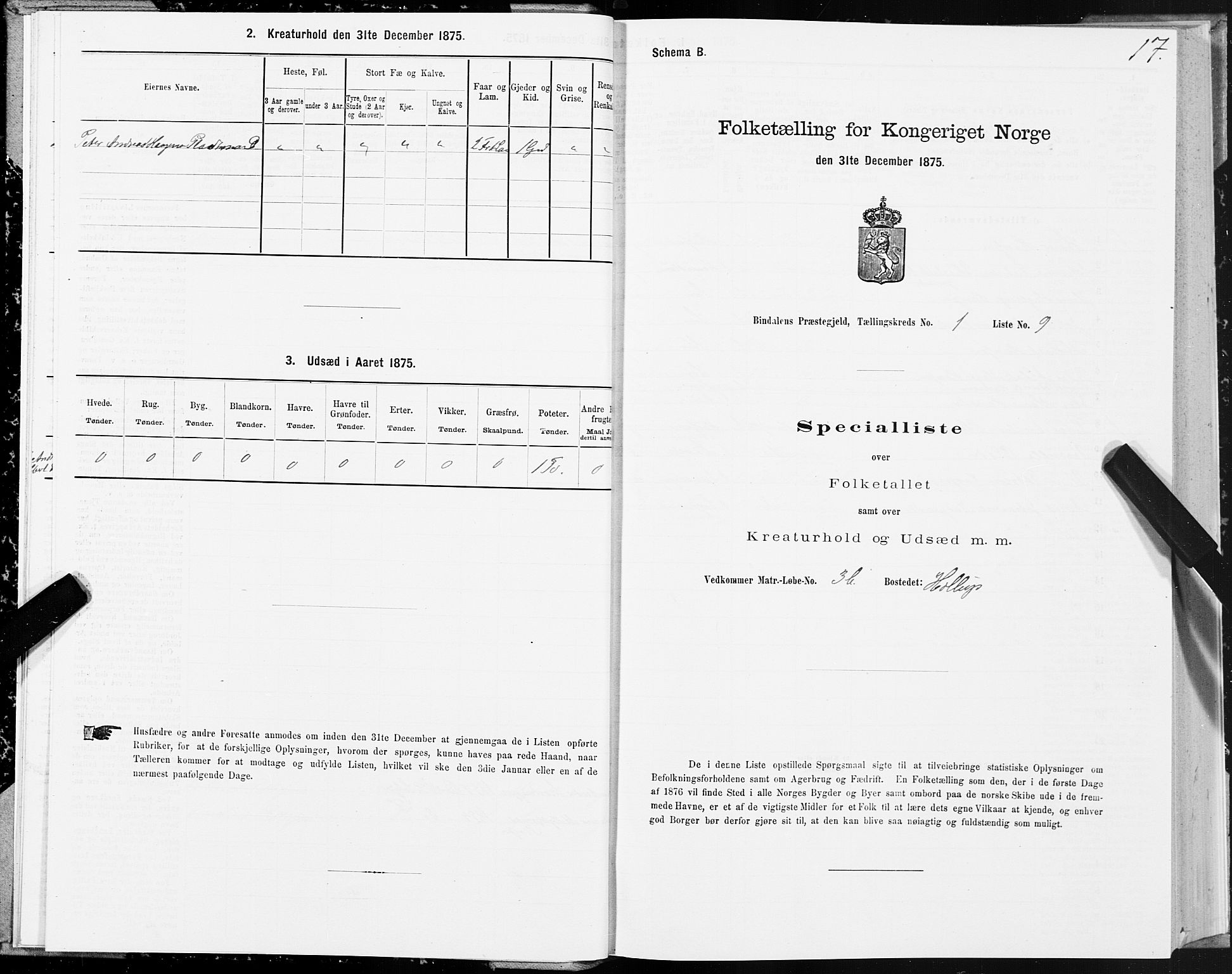 SAT, 1875 census for 1811P Bindal, 1875, p. 1017