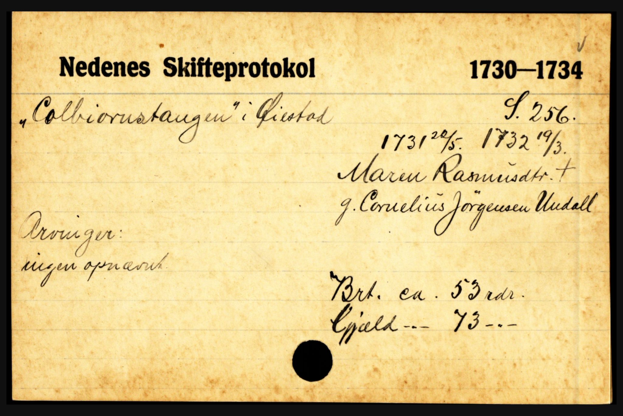 Nedenes sorenskriveri før 1824, AV/SAK-1221-0007/H, p. 15213