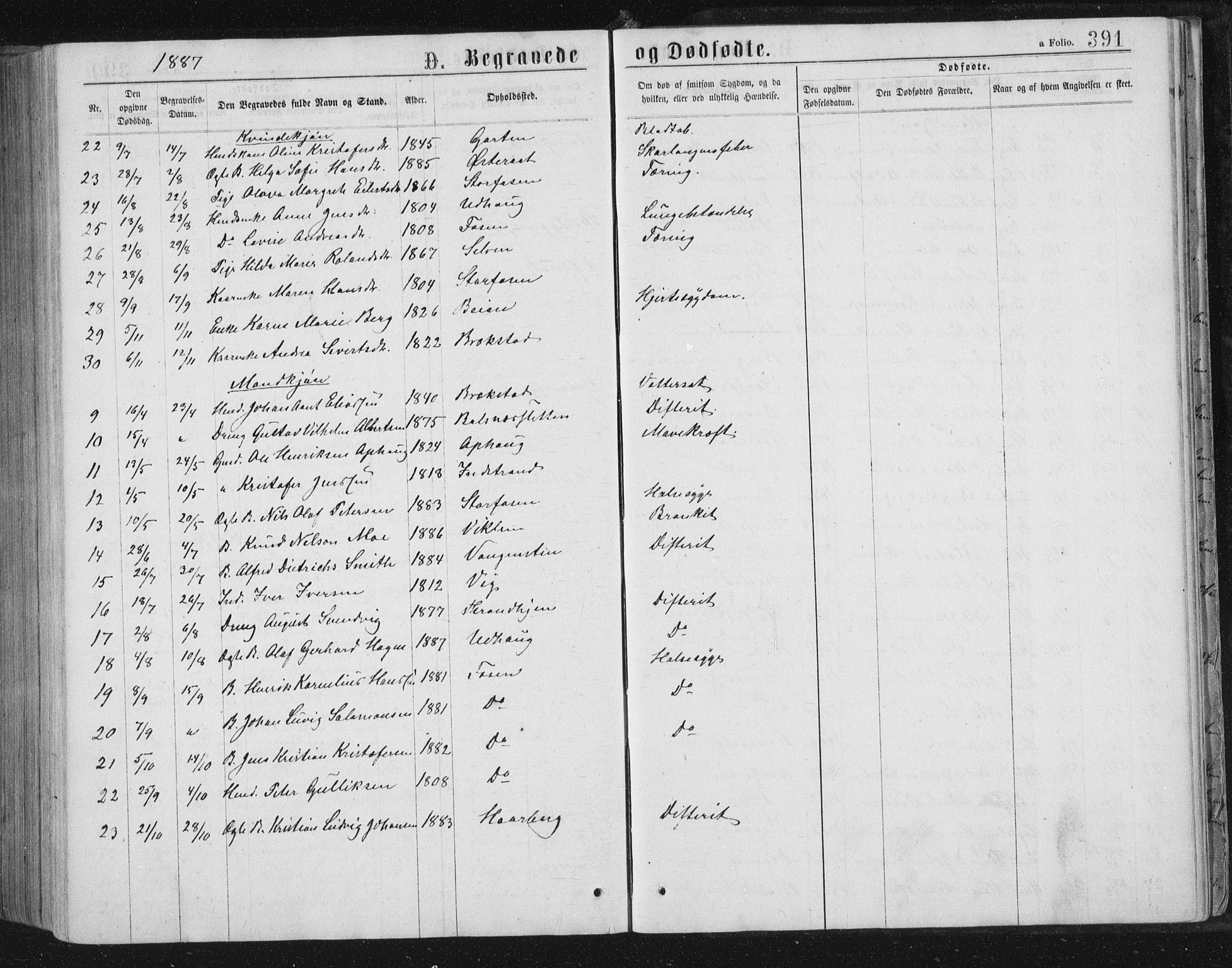 Ministerialprotokoller, klokkerbøker og fødselsregistre - Sør-Trøndelag, SAT/A-1456/659/L0745: Parish register (copy) no. 659C02, 1869-1892, p. 391