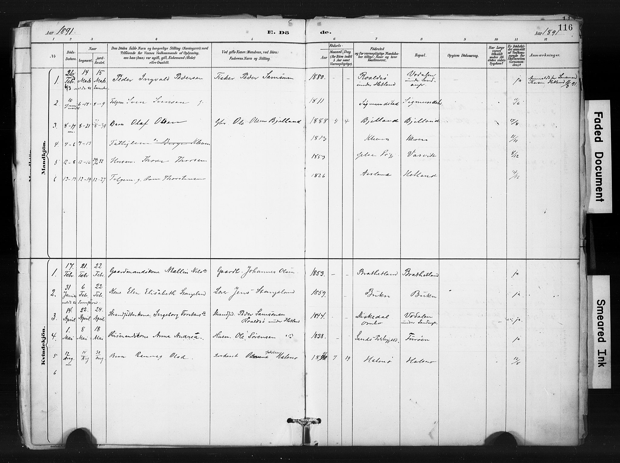 Hjelmeland sokneprestkontor, SAST/A-101843/01/IV/L0015: Parish register (official) no. A 15, 1887-1910, p. 116