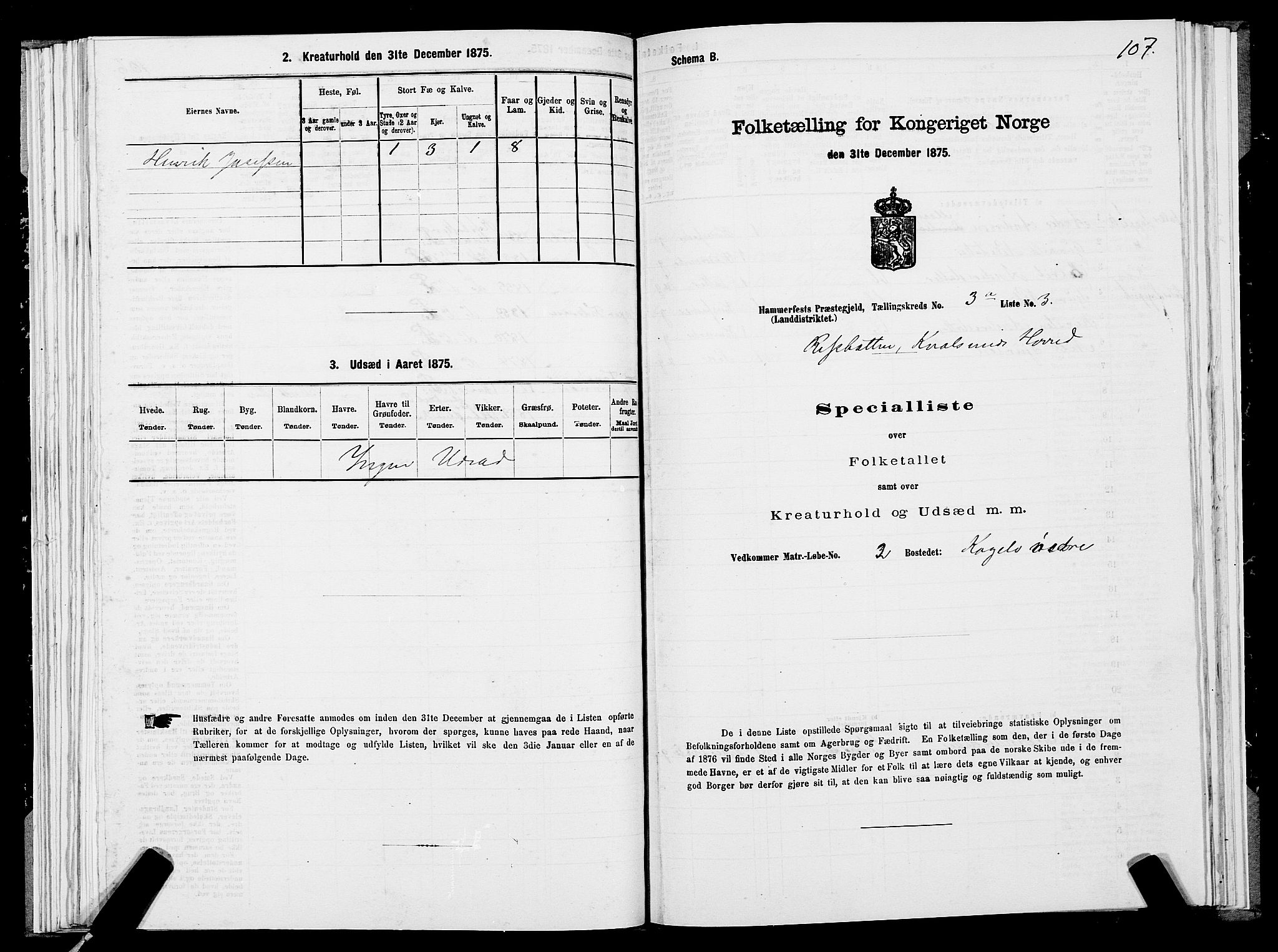 SATØ, 1875 census for 2016L Hammerfest/Hammerfest og Kvalsund, 1875, p. 2107