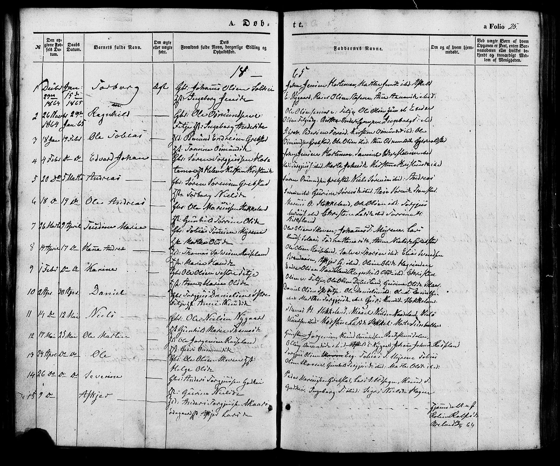 Søgne sokneprestkontor, SAK/1111-0037/F/Fa/Faa/L0002: Parish register (official) no. A 2, 1854-1882, p. 25