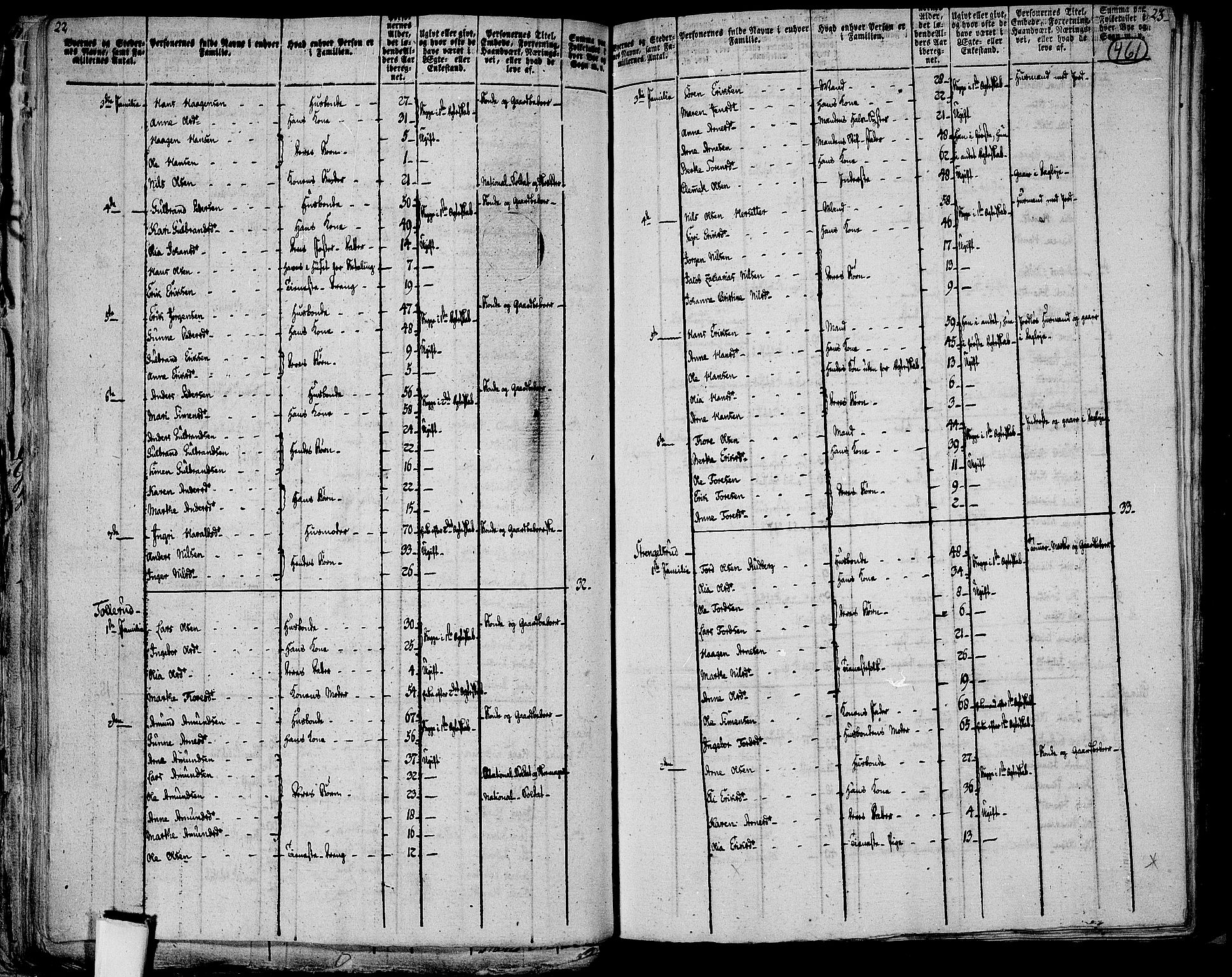 RA, 1801 census for 0421P Vinger, 1801, p. 460b-461a