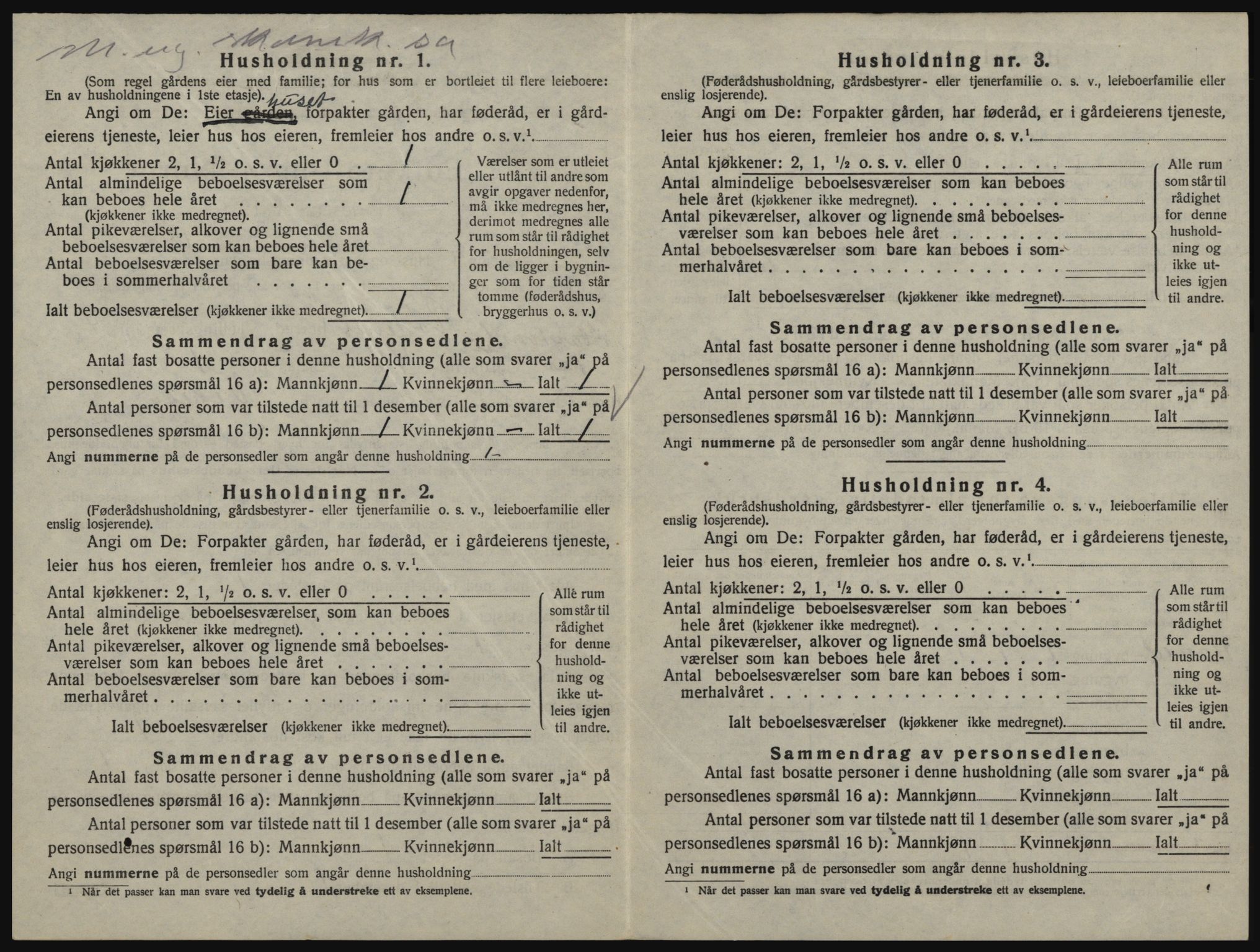 SAO, 1920 census for Rødenes, 1920, p. 395