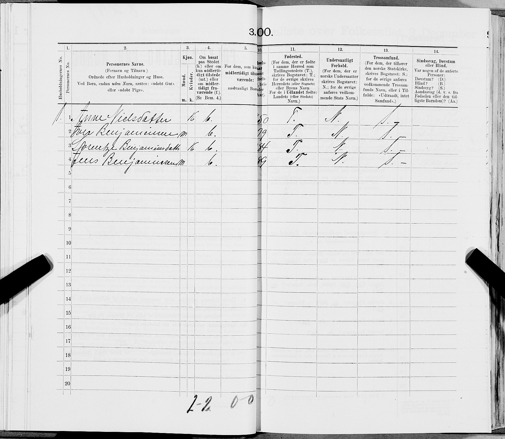 SAT, 1900 census for Bindal, 1900, p. 767