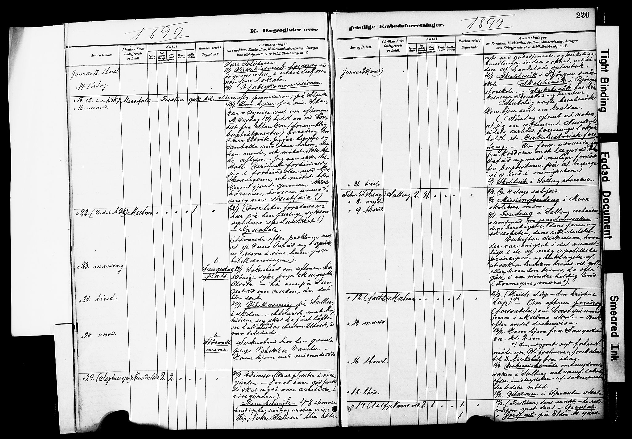 Ministerialprotokoller, klokkerbøker og fødselsregistre - Nord-Trøndelag, AV/SAT-A-1458/741/L0396: Parish register (official) no. 741A10, 1889-1901, p. 226