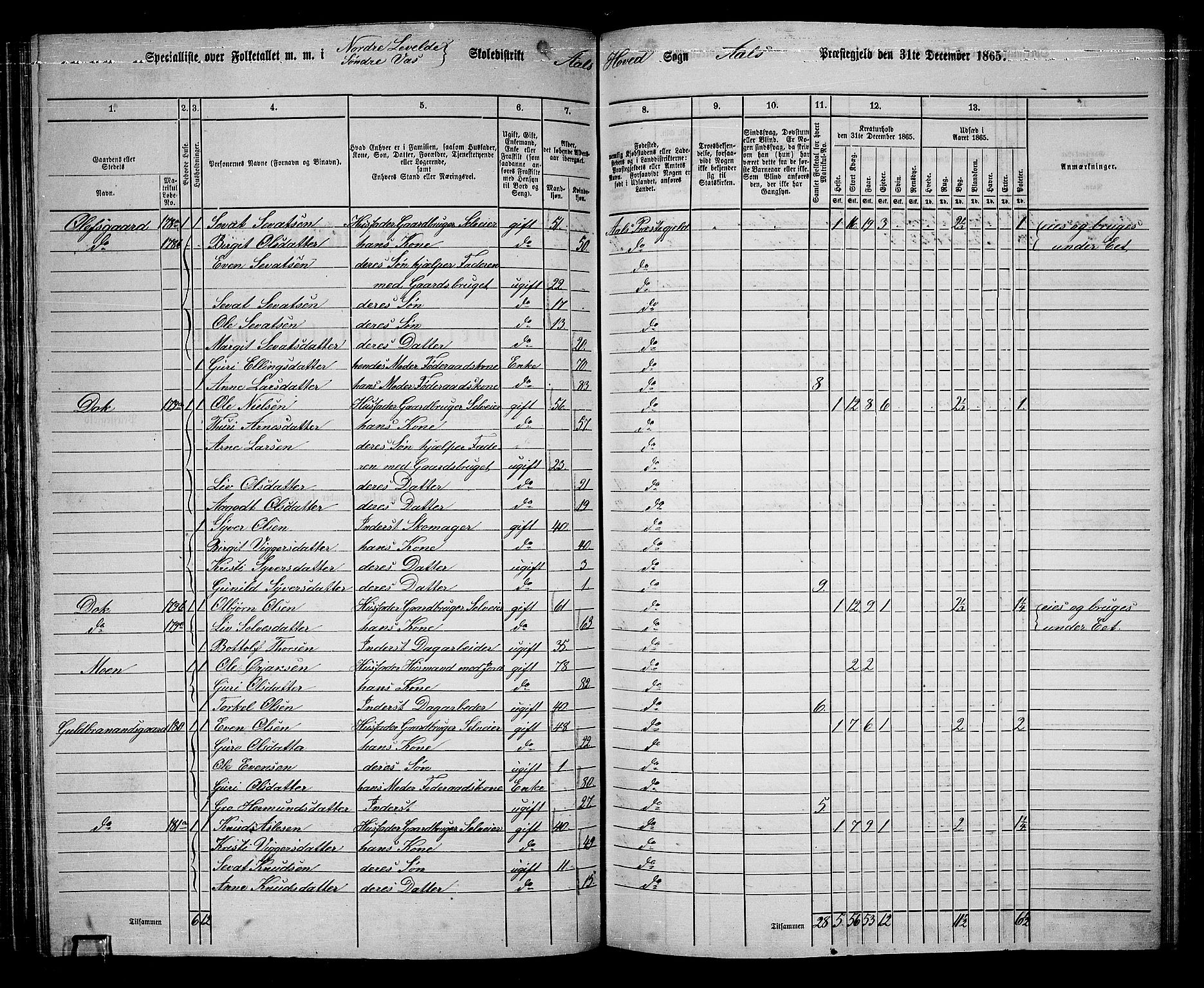 RA, 1865 census for Ål, 1865, p. 113