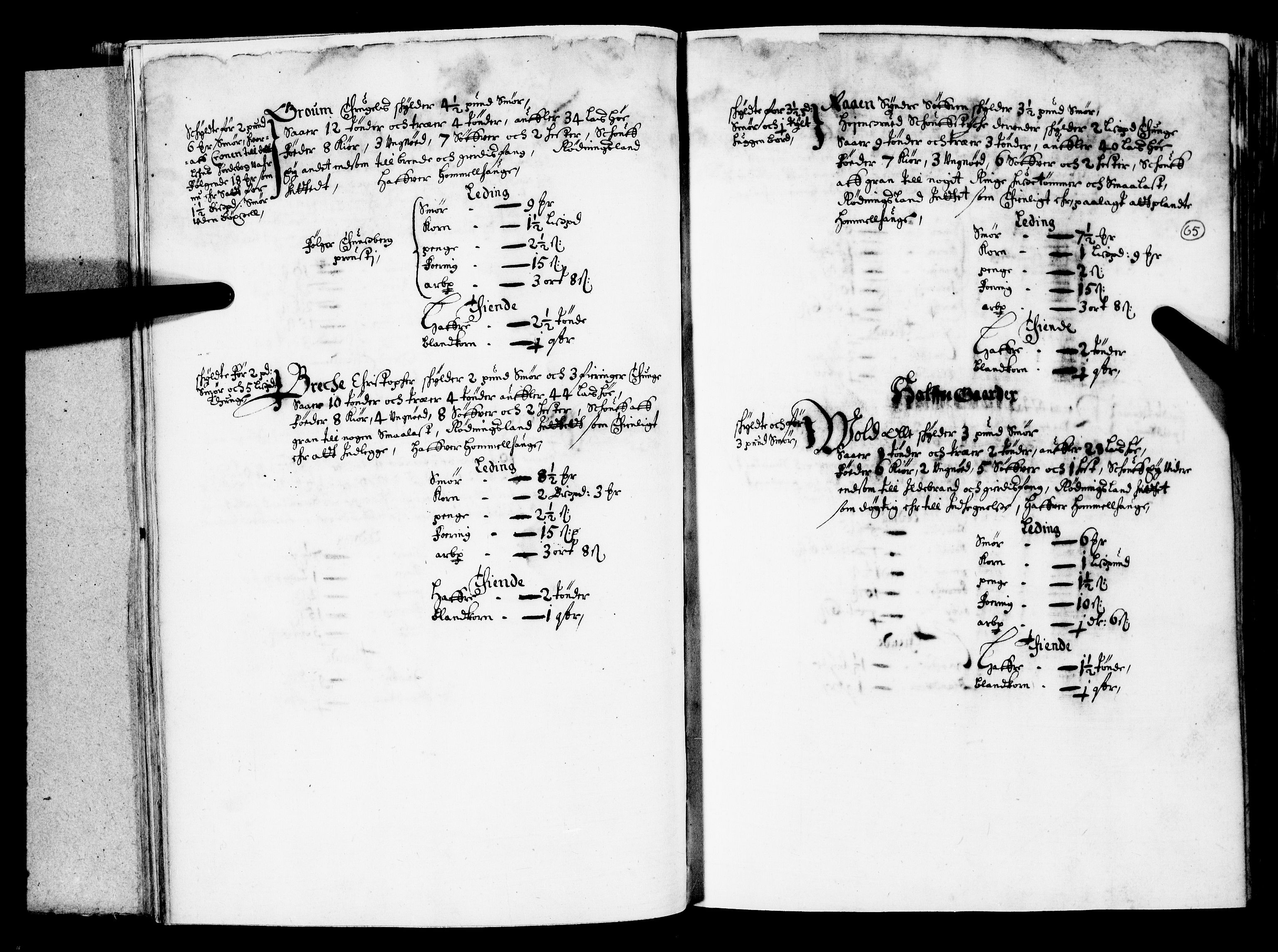 Rentekammeret inntil 1814, Realistisk ordnet avdeling, AV/RA-EA-4070/N/Nb/Nba/L0019: Tønsberg len, 1. del, 1668, p. 64b-65a