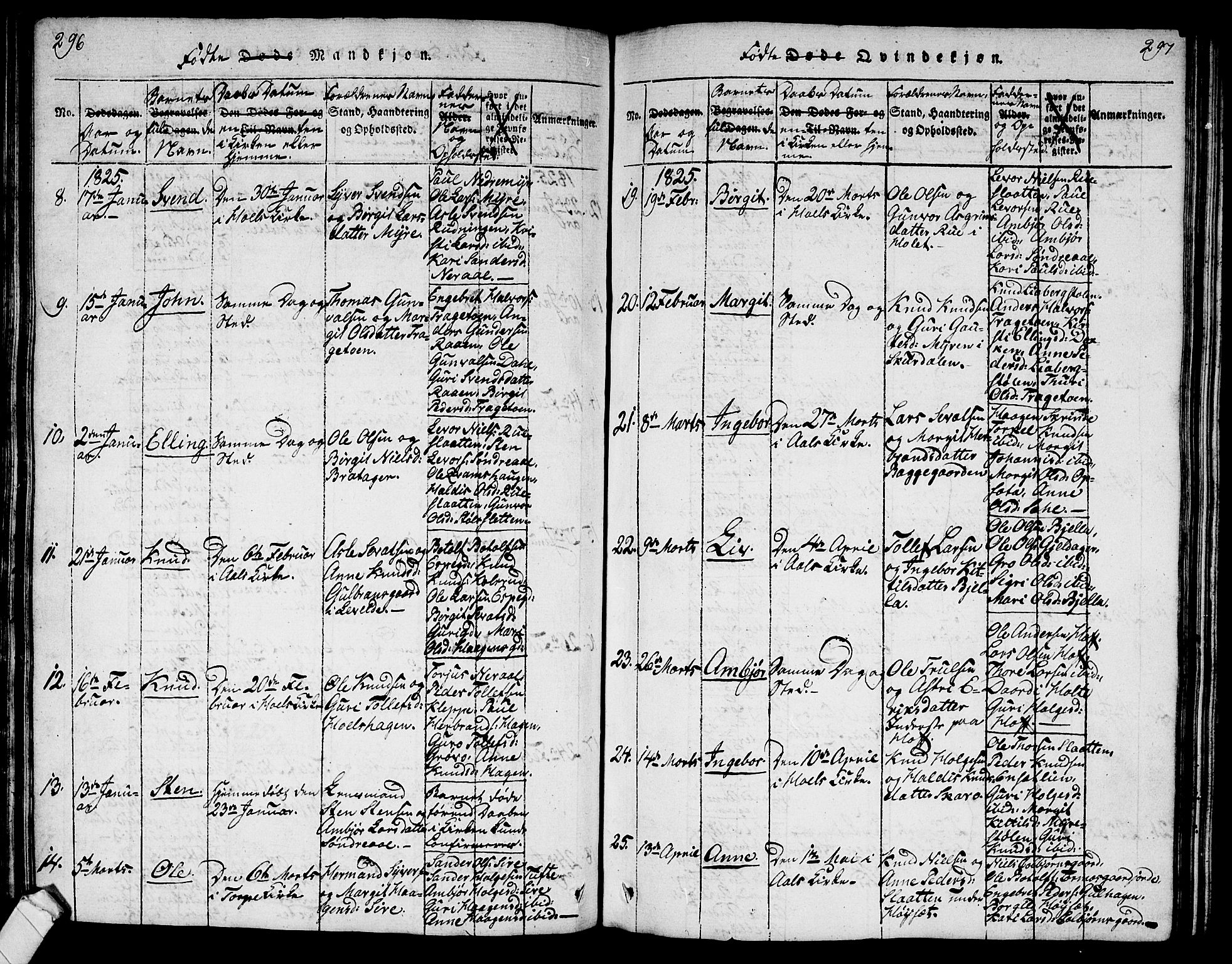 Ål kirkebøker, AV/SAKO-A-249/G/Ga/L0001: Parish register (copy) no. 1, 1815-1829, p. 296-297