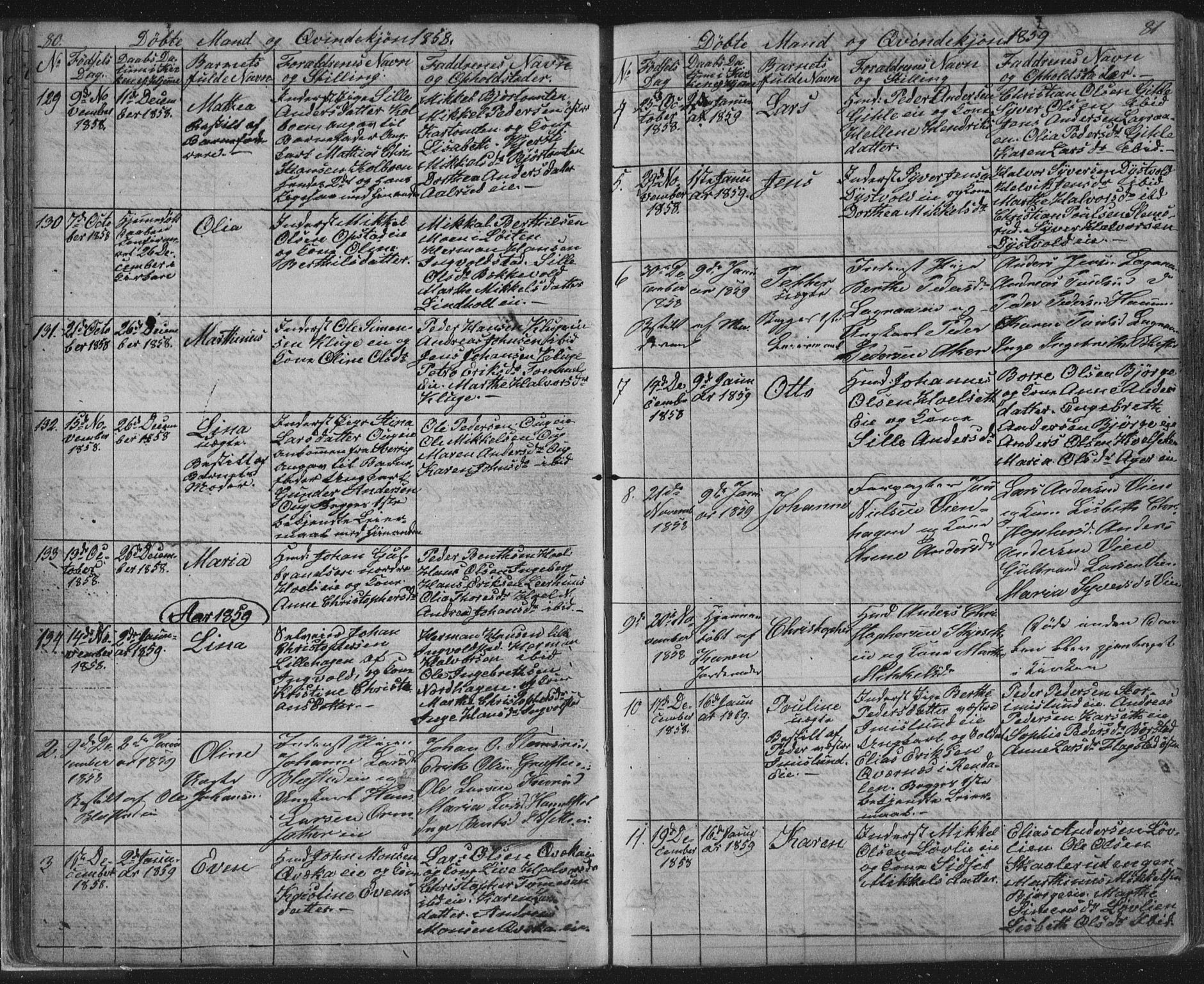 Vang prestekontor, Hedmark, SAH/PREST-008/H/Ha/Hab/L0010A: Parish register (copy) no. 10a, 1854-1896, p. 80-81