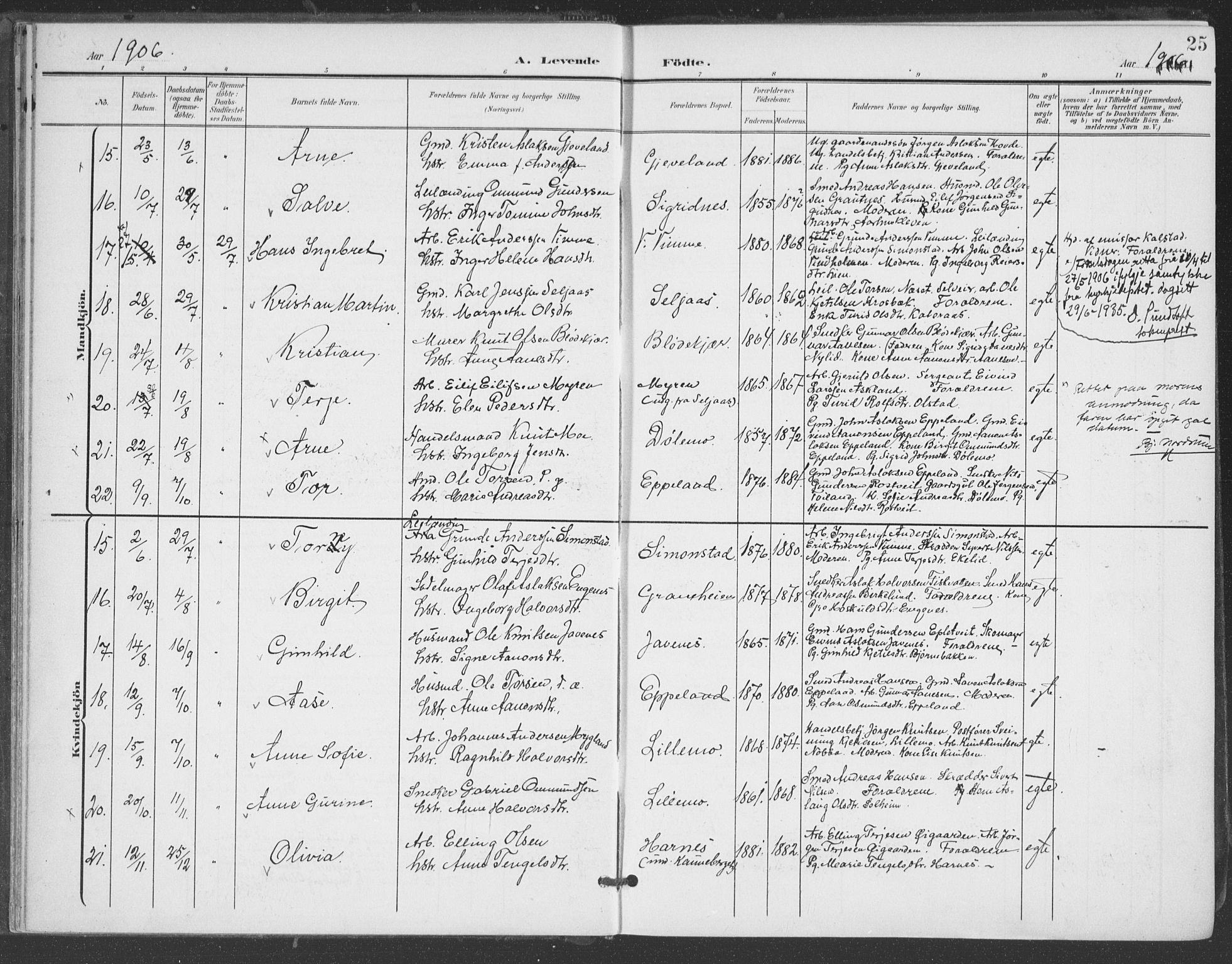 Åmli sokneprestkontor, AV/SAK-1111-0050/F/Fa/Fac/L0012: Parish register (official) no. A 12, 1900-1914, p. 25