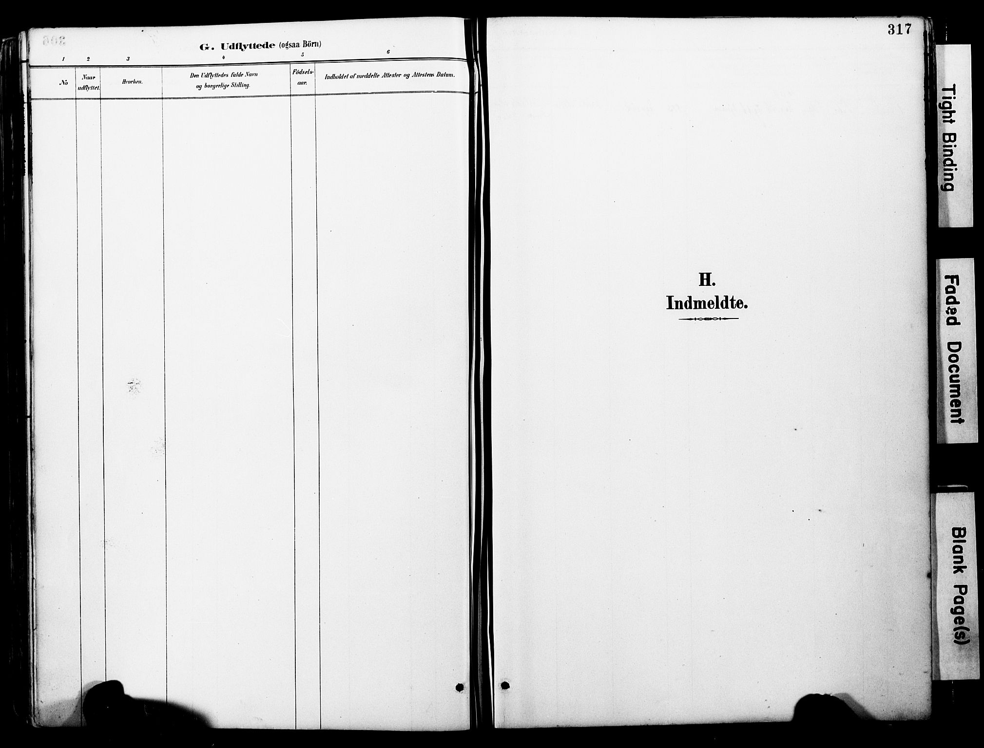 Ministerialprotokoller, klokkerbøker og fødselsregistre - Møre og Romsdal, SAT/A-1454/578/L0907: Parish register (official) no. 578A06, 1887-1904, p. 317