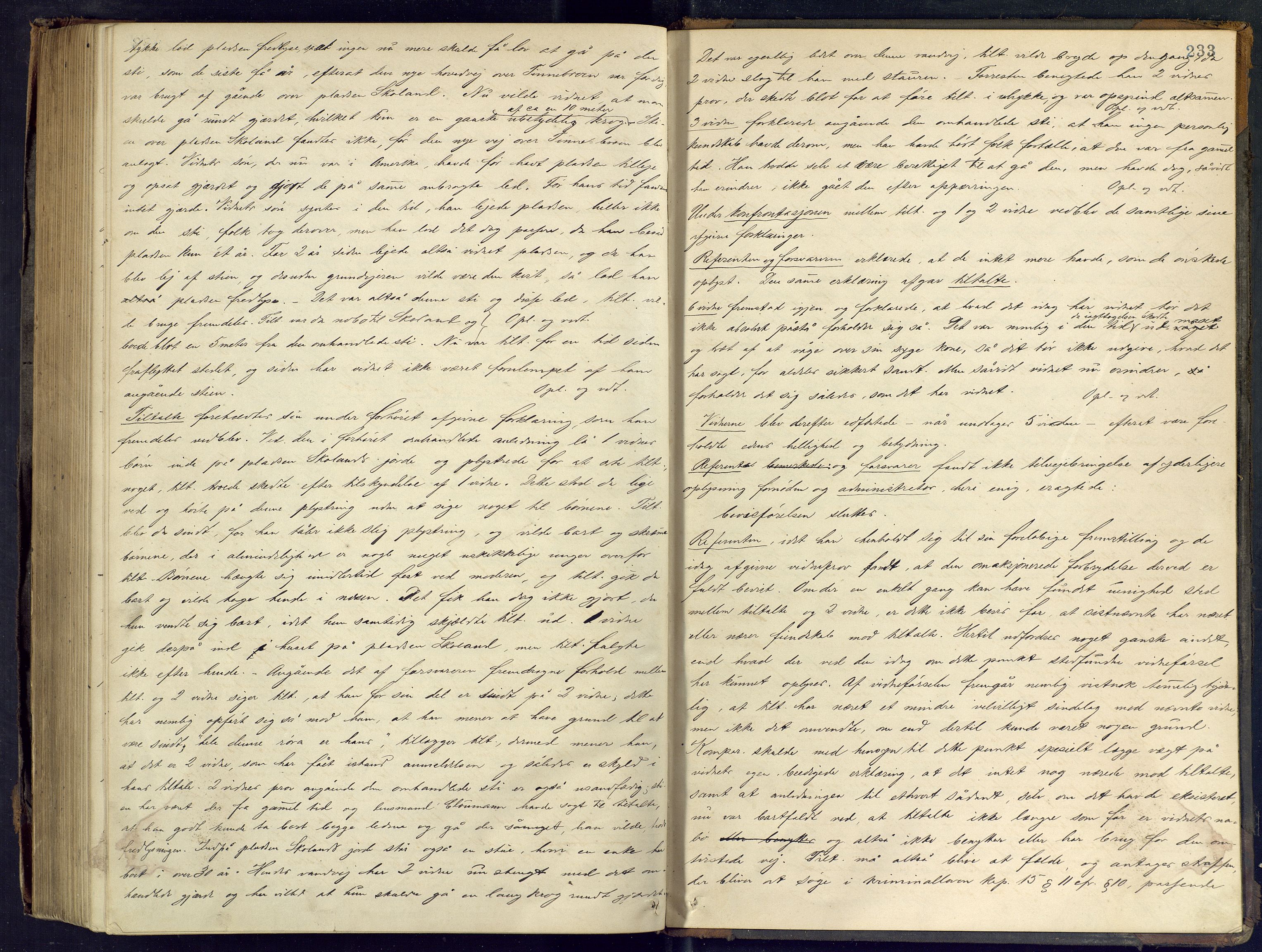 Nedre Telemark sorenskriveri, AV/SAKO-A-135/F/Fc/Fcb/L0003: Ekstrarettsprotokoll, 1883-1886, p. 233
