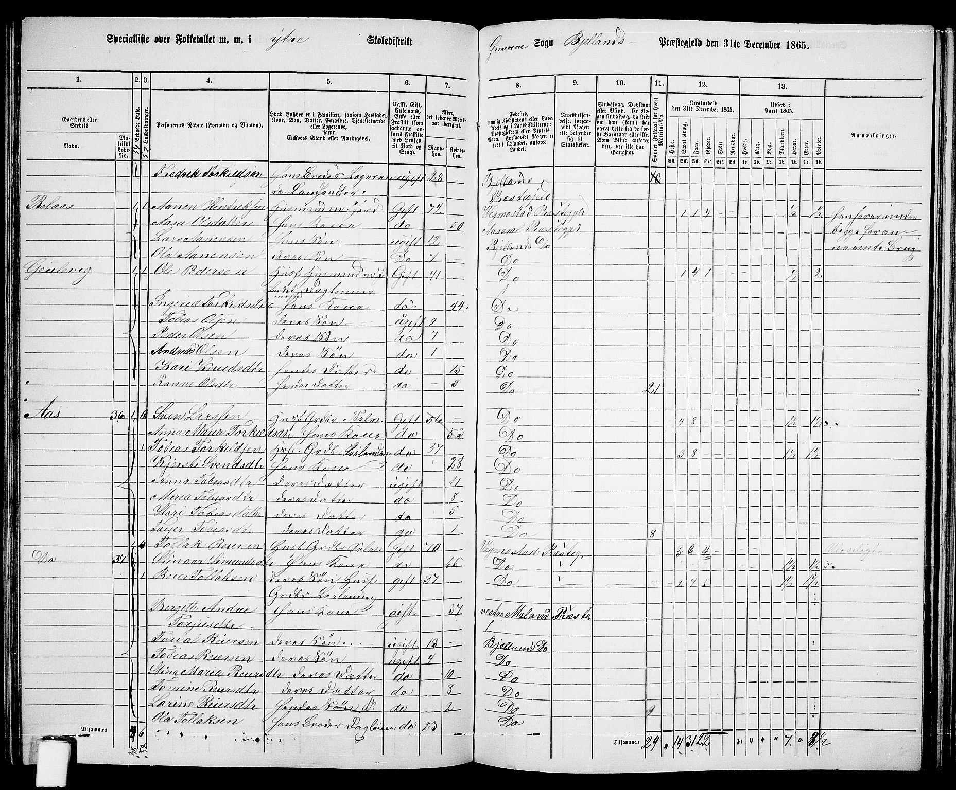 RA, 1865 census for Bjelland, 1865, p. 55