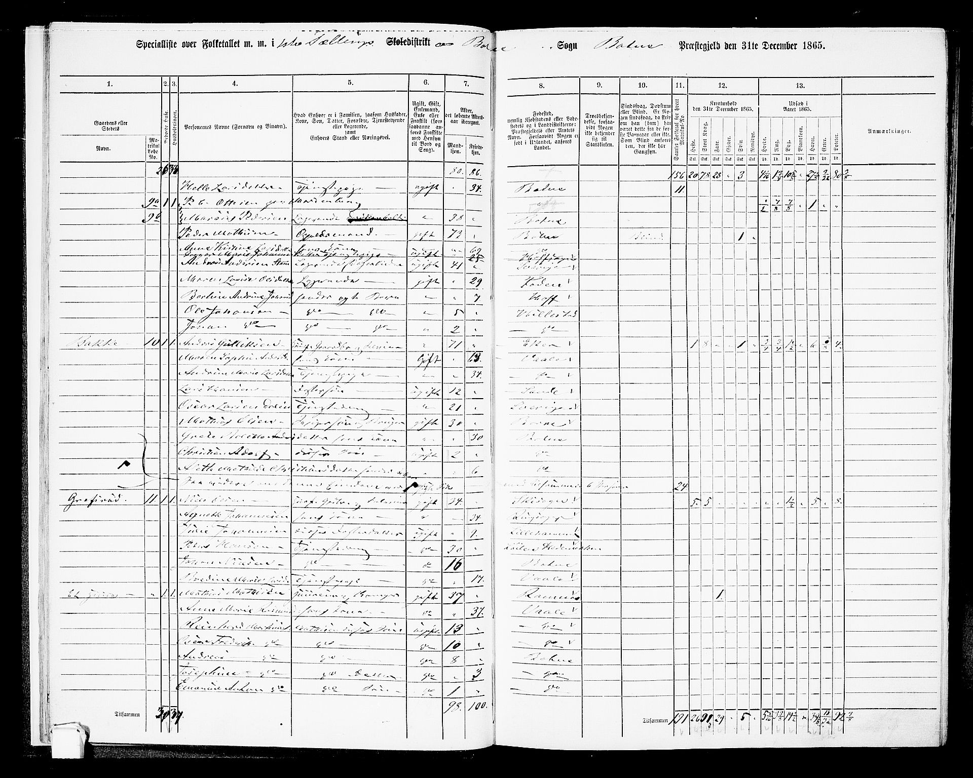 RA, 1865 census for Botne/Botne og Hillestad, 1865, p. 17