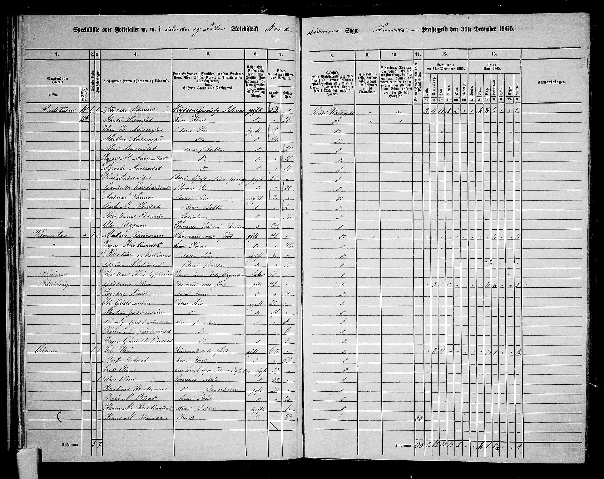 RA, 1865 census for Land, 1865, p. 47