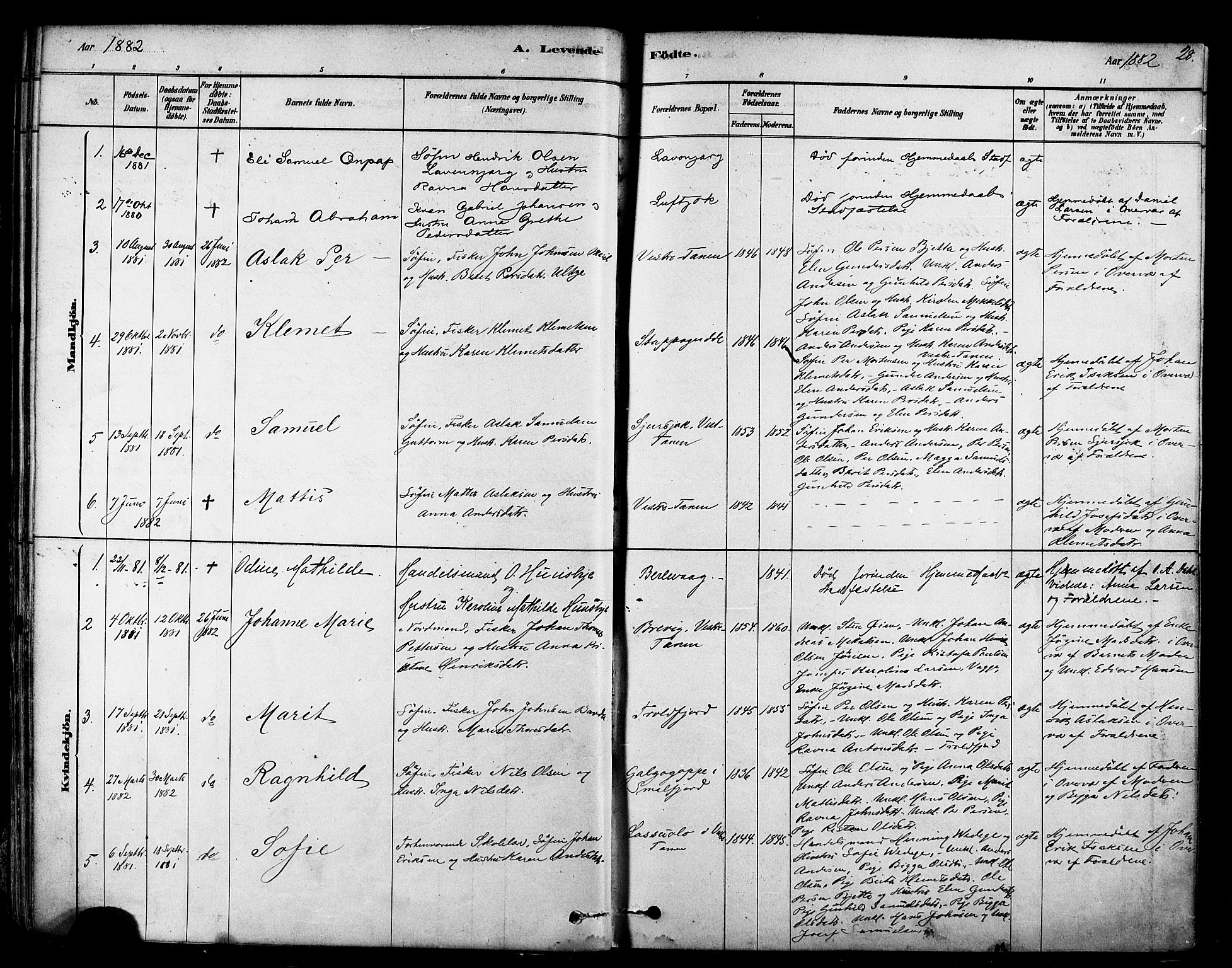 Tana sokneprestkontor, SATØ/S-1334/H/Ha/L0004kirke: Parish register (official) no. 4, 1878-1891, p. 28