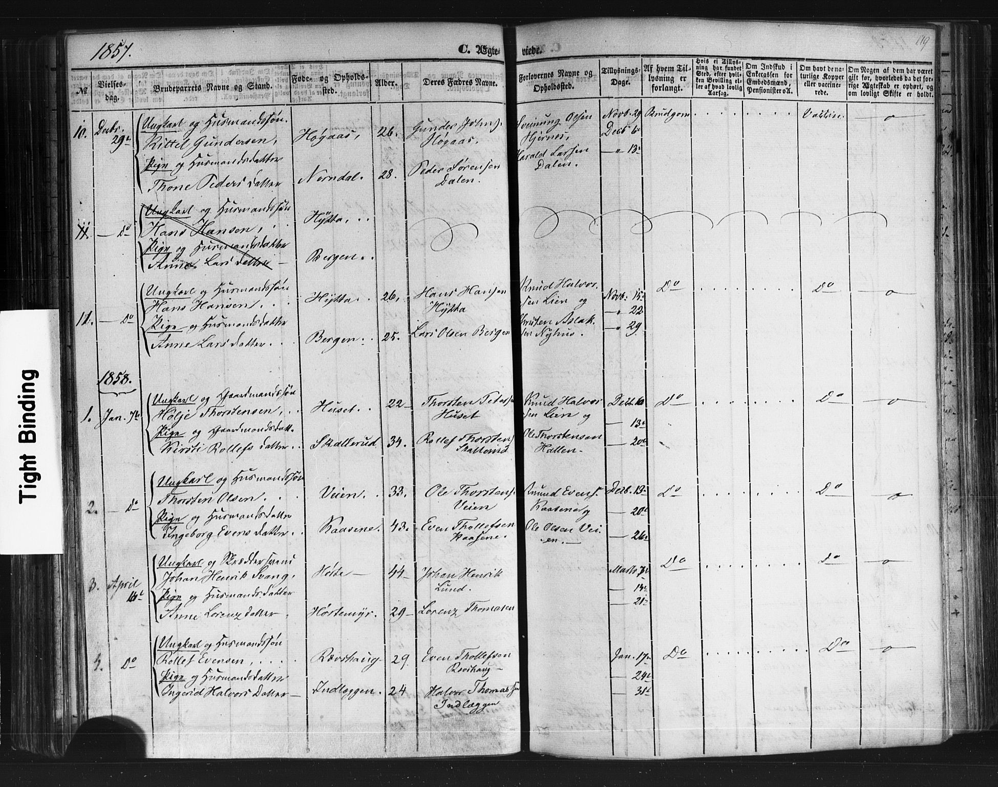 Sauherad kirkebøker, SAKO/A-298/F/Fb/L0001: Parish register (official) no. II 1, 1851-1877, p. 119