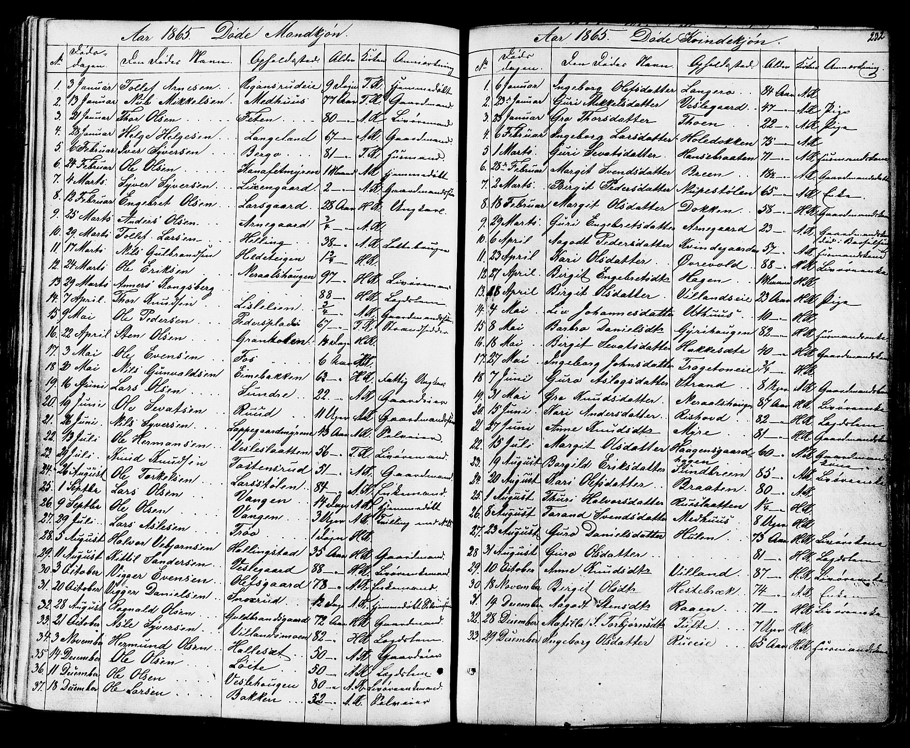 Ål kirkebøker, SAKO/A-249/F/Fa/L0007: Parish register (official) no. I 7, 1865-1881, p. 232