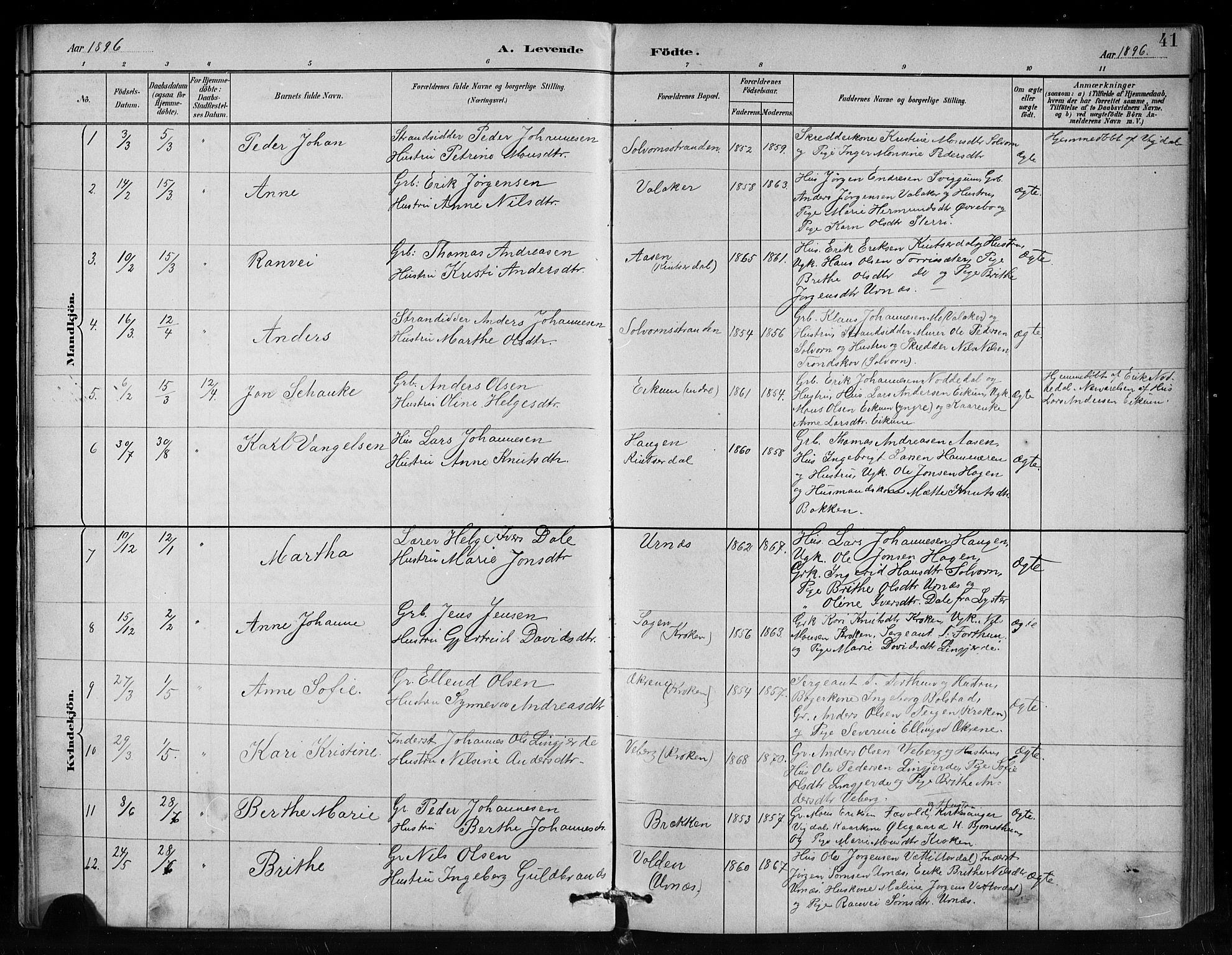 Hafslo sokneprestembete, SAB/A-80301/H/Hab/Habc/L0001: Parish register (copy) no. C 1, 1882-1908, p. 41