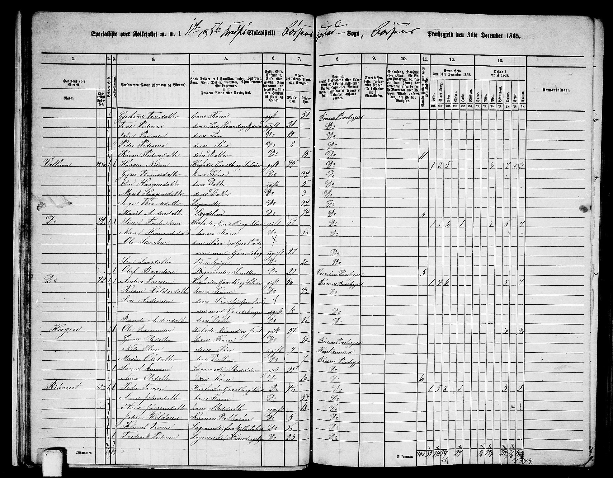 RA, 1865 census for Børsa, 1865, p. 21