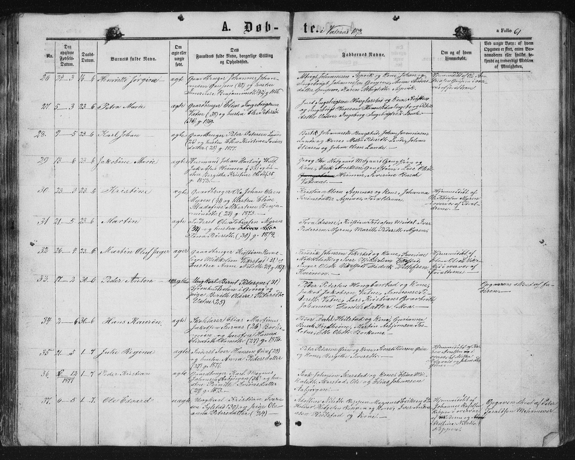 Ministerialprotokoller, klokkerbøker og fødselsregistre - Nordland, AV/SAT-A-1459/810/L0158: Parish register (copy) no. 810C02 /1, 1863-1883, p. 61