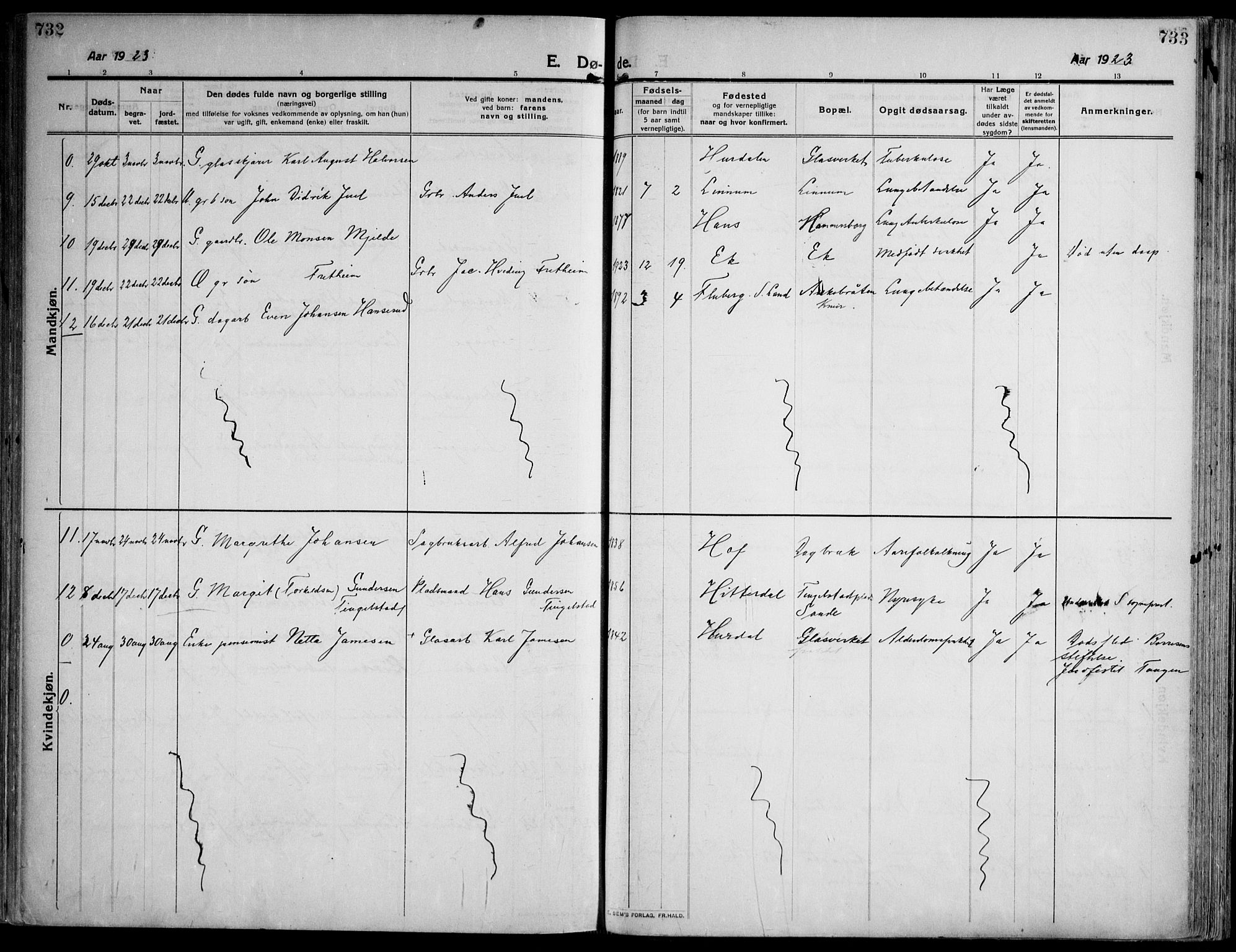 Skoger kirkebøker, AV/SAKO-A-59/F/Fa/L0007: Parish register (official) no. I 7, 1911-1936, p. 732-733