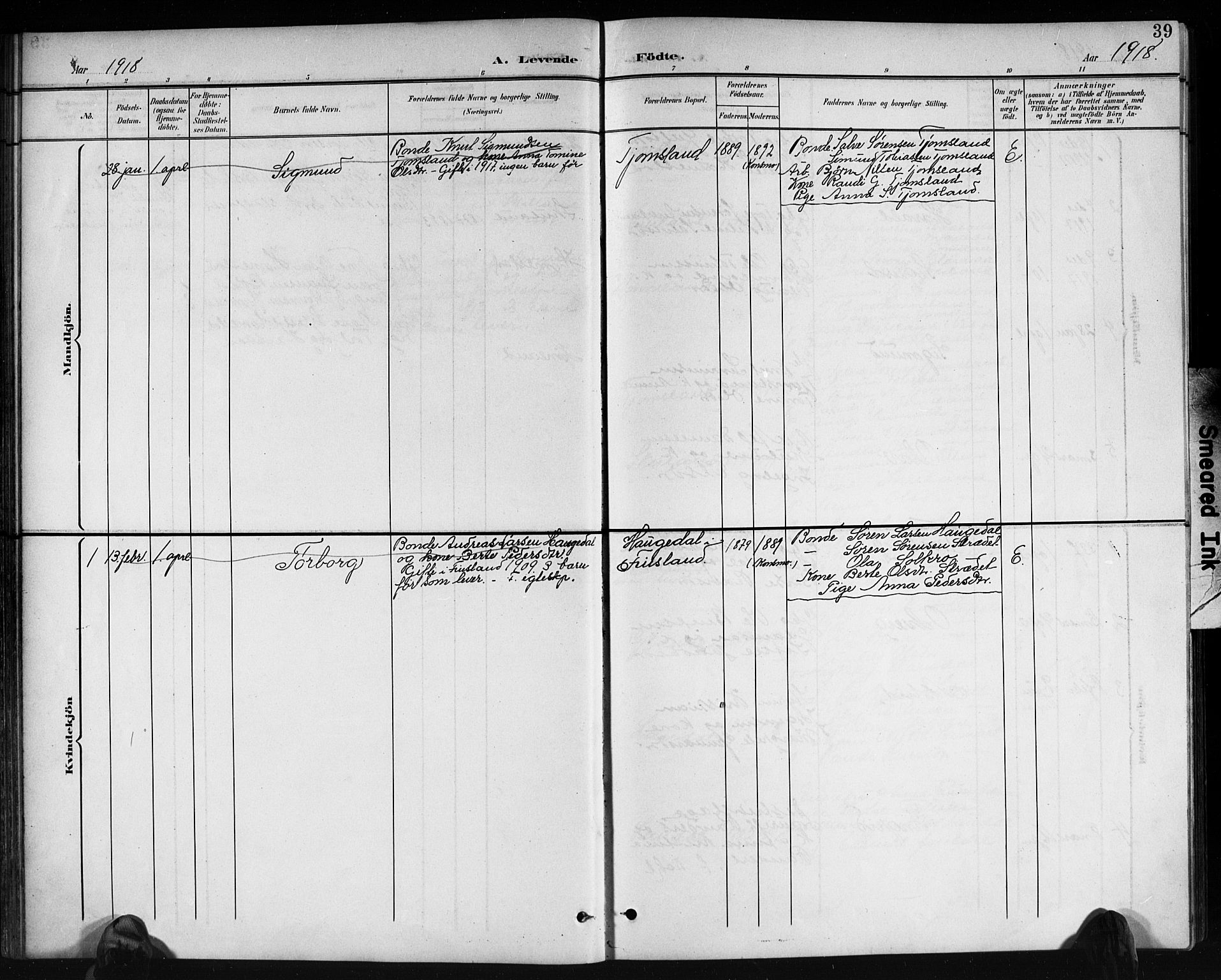 Holum sokneprestkontor, AV/SAK-1111-0022/F/Fb/Fbb/L0004: Parish register (copy) no. B 4, 1899-1920, p. 39