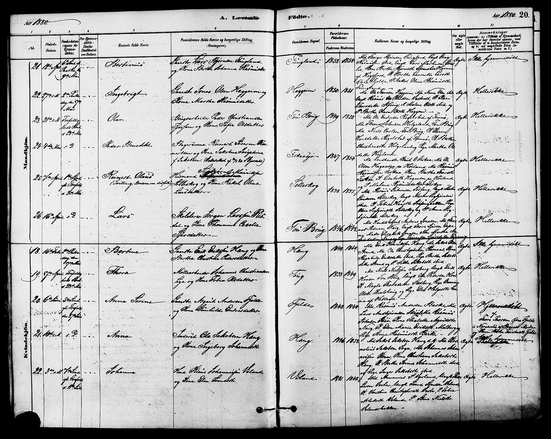 Strand sokneprestkontor, SAST/A-101828/H/Ha/Haa/L0009: Parish register (official) no. A 9, 1877-1908, p. 20