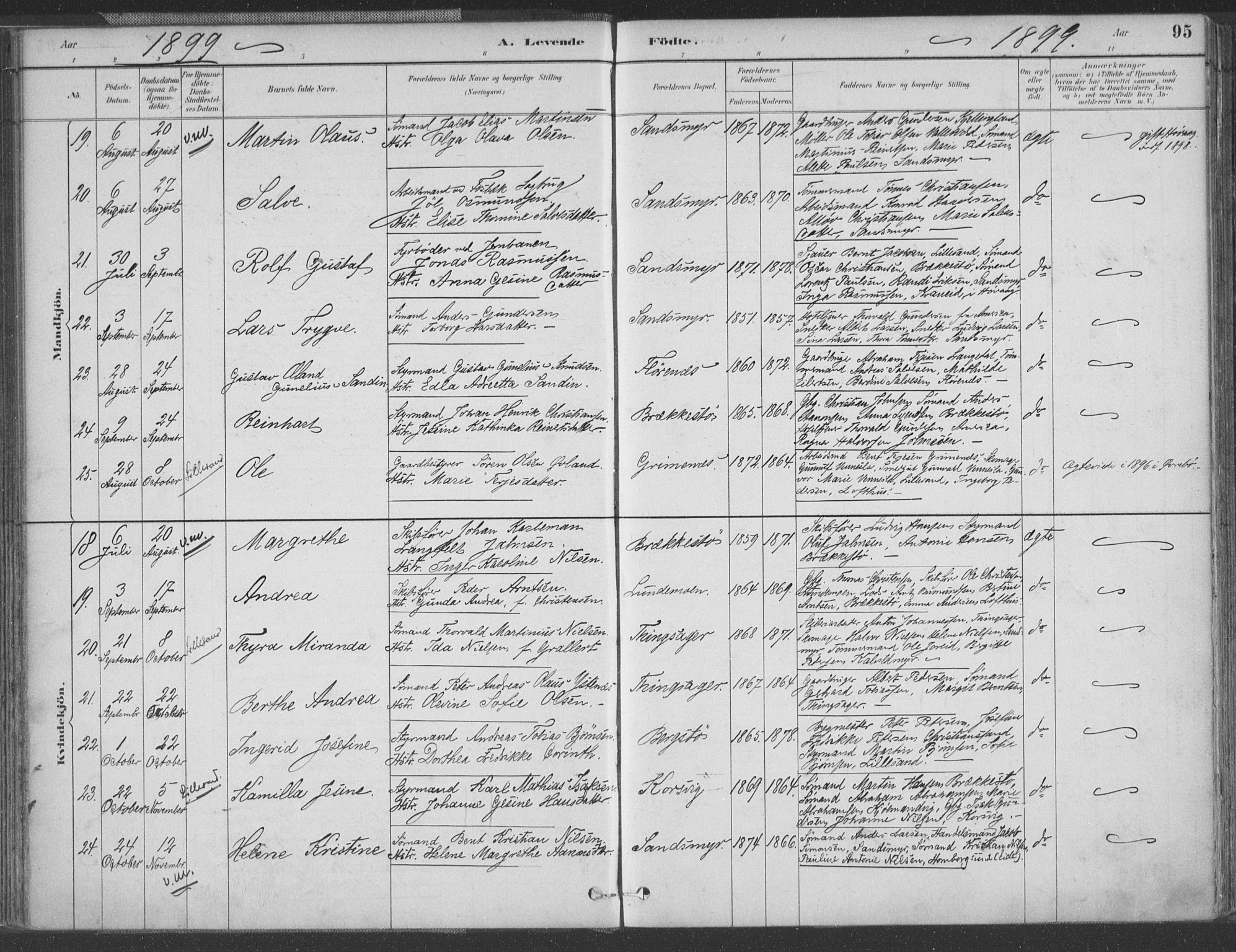 Vestre Moland sokneprestkontor, AV/SAK-1111-0046/F/Fa/Fab/L0009: Parish register (official) no. A 9, 1884-1899, p. 95