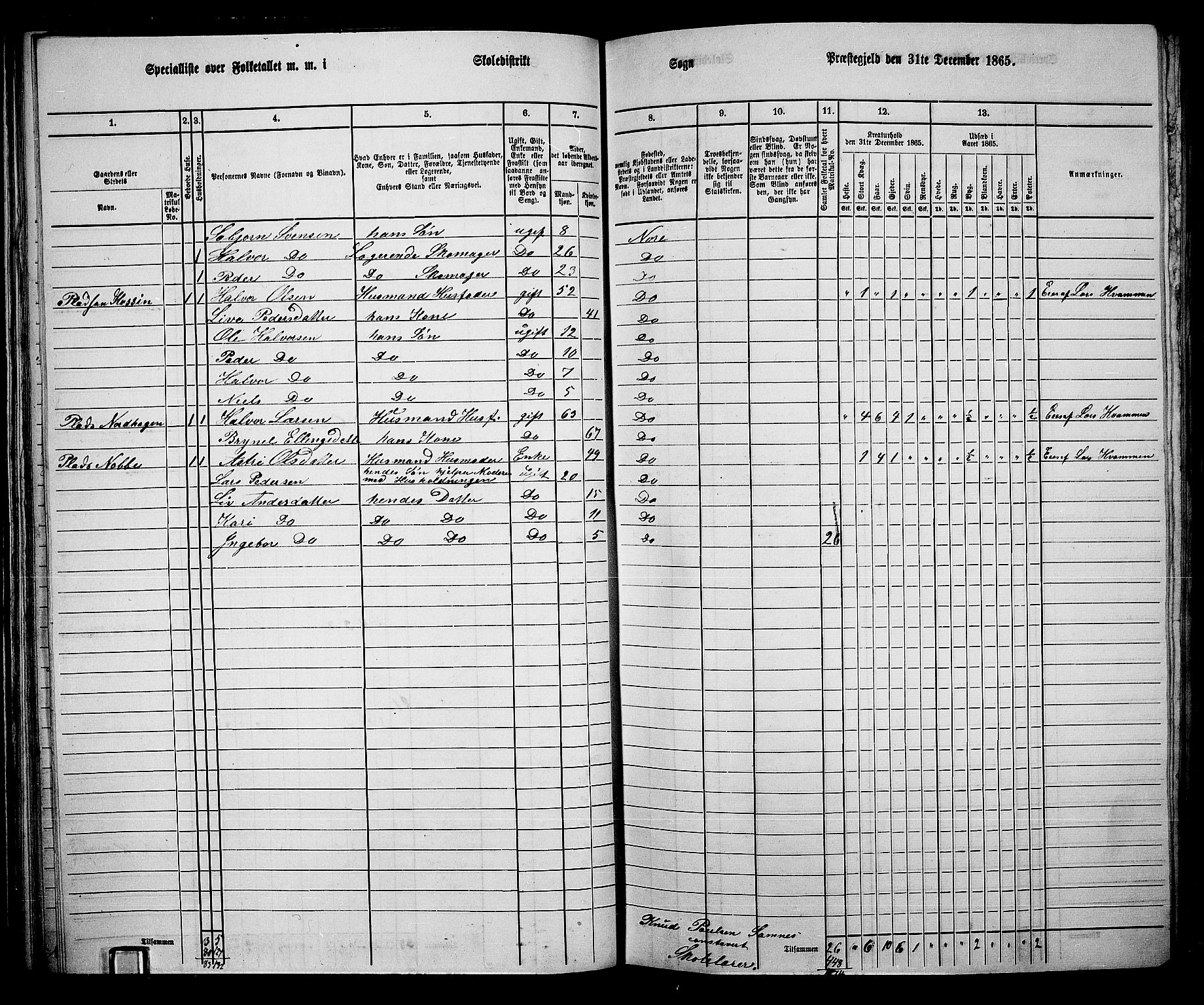 RA, 1865 census for Nore, 1865, p. 67