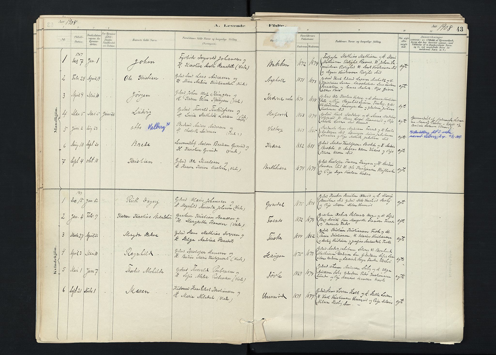 Stokke kirkebøker, SAKO/A-320/F/Fc/L0001: Parish register (official) no. III 1, 1884-1910, p. 43