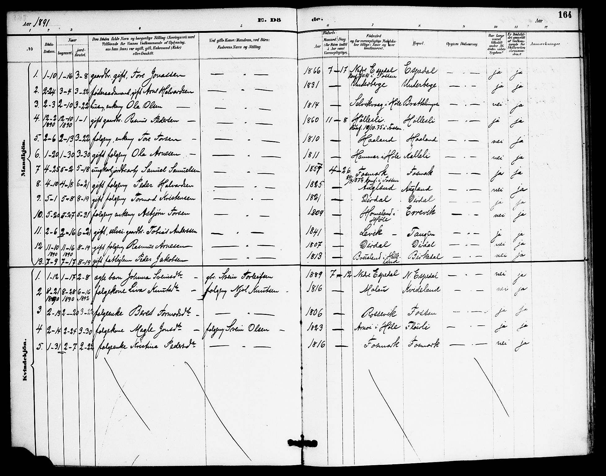 Høgsfjord sokneprestkontor, AV/SAST-A-101624/H/Ha/Haa/L0006: Parish register (official) no. A 6, 1885-1897, p. 164