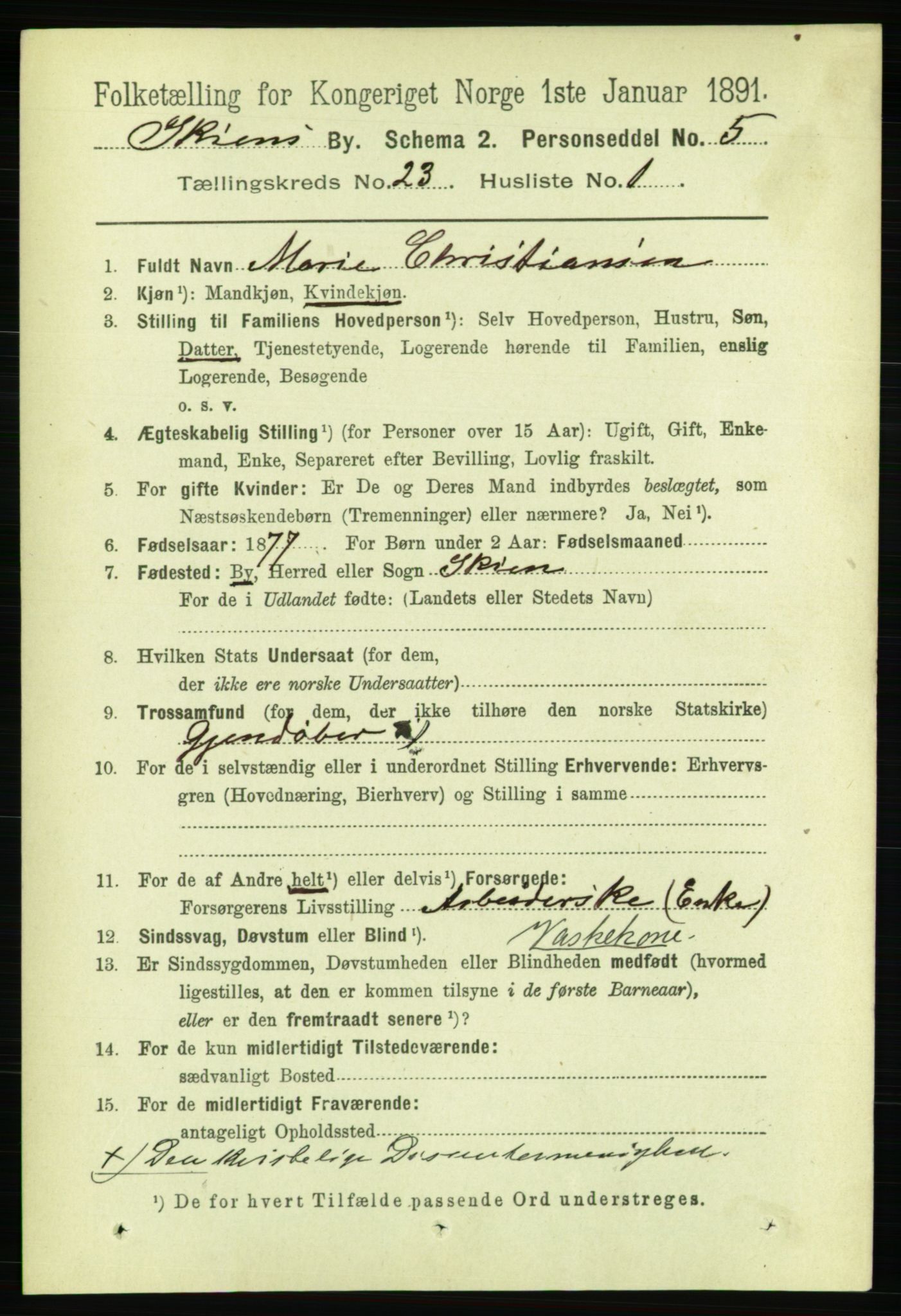 RA, 1891 census for 0806 Skien, 1891, p. 5819