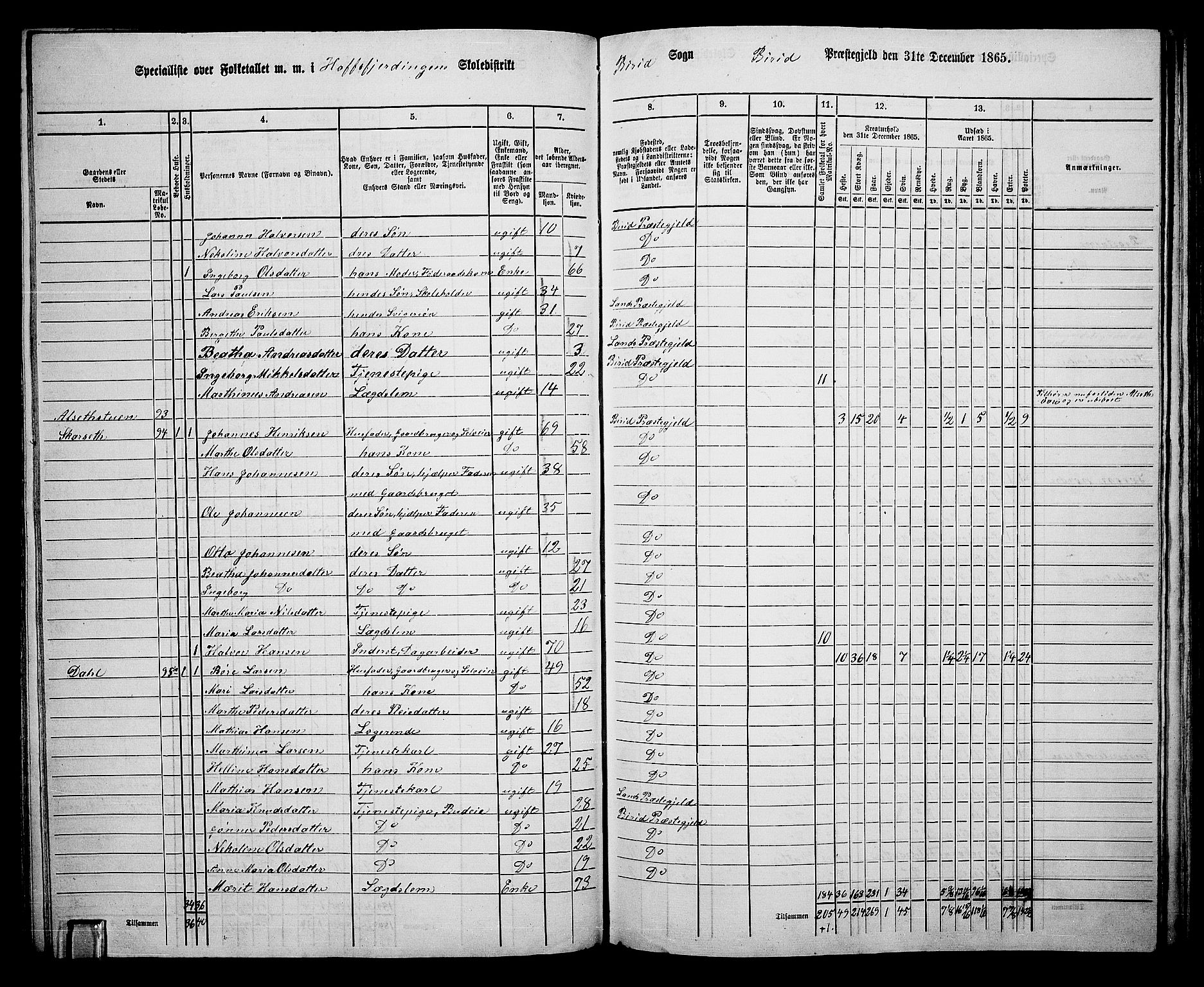 RA, 1865 census for Biri, 1865, p. 94