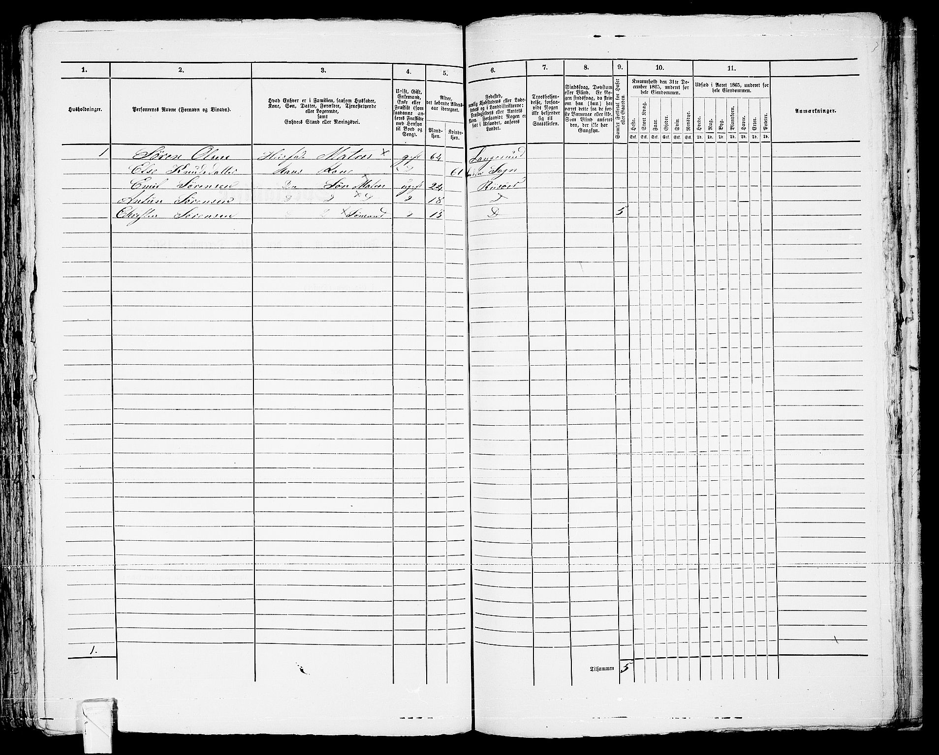 RA, 1865 census for Risør/Risør, 1865, p. 293