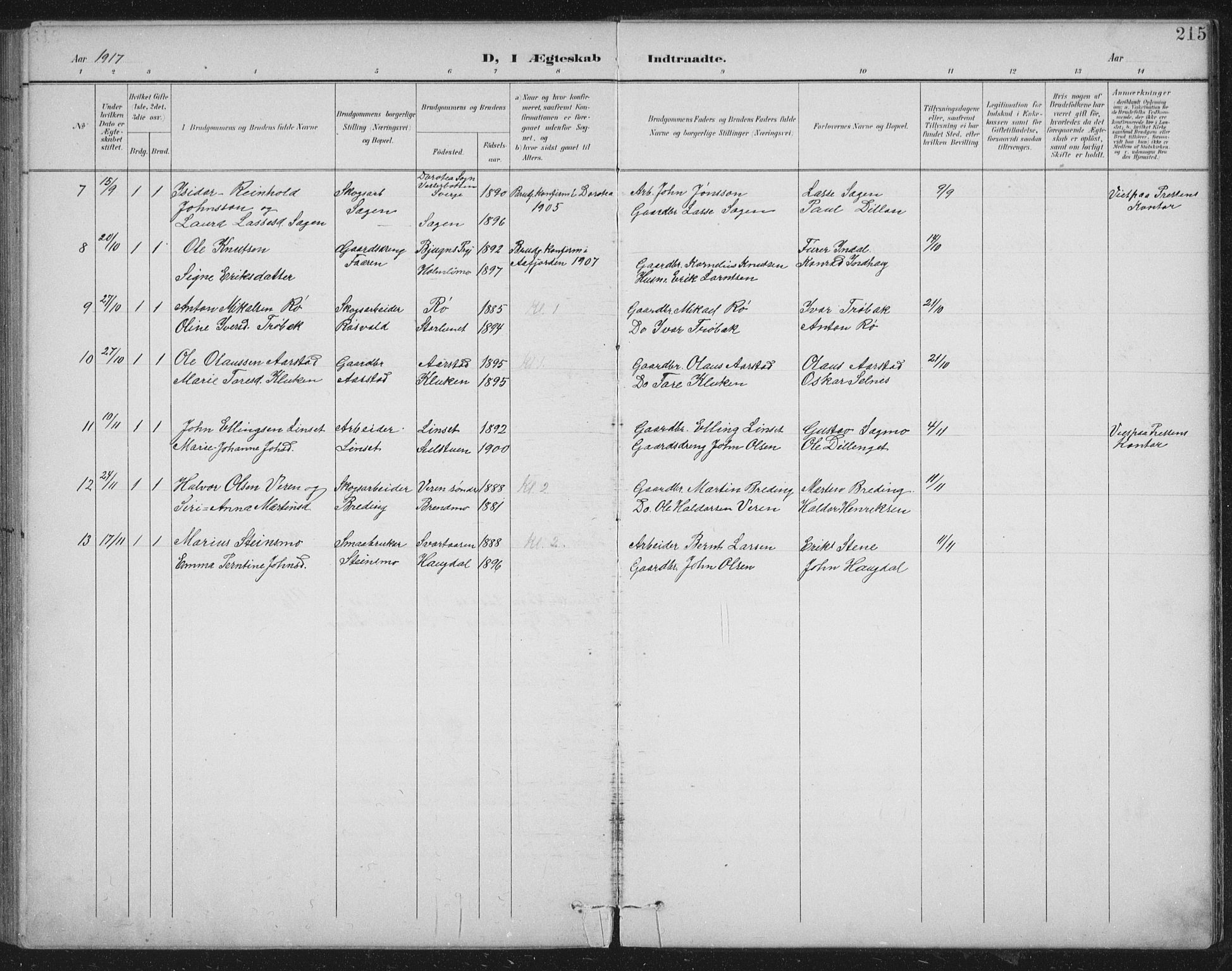 Ministerialprotokoller, klokkerbøker og fødselsregistre - Nord-Trøndelag, SAT/A-1458/724/L0269: Parish register (copy) no. 724C05, 1899-1920, p. 215