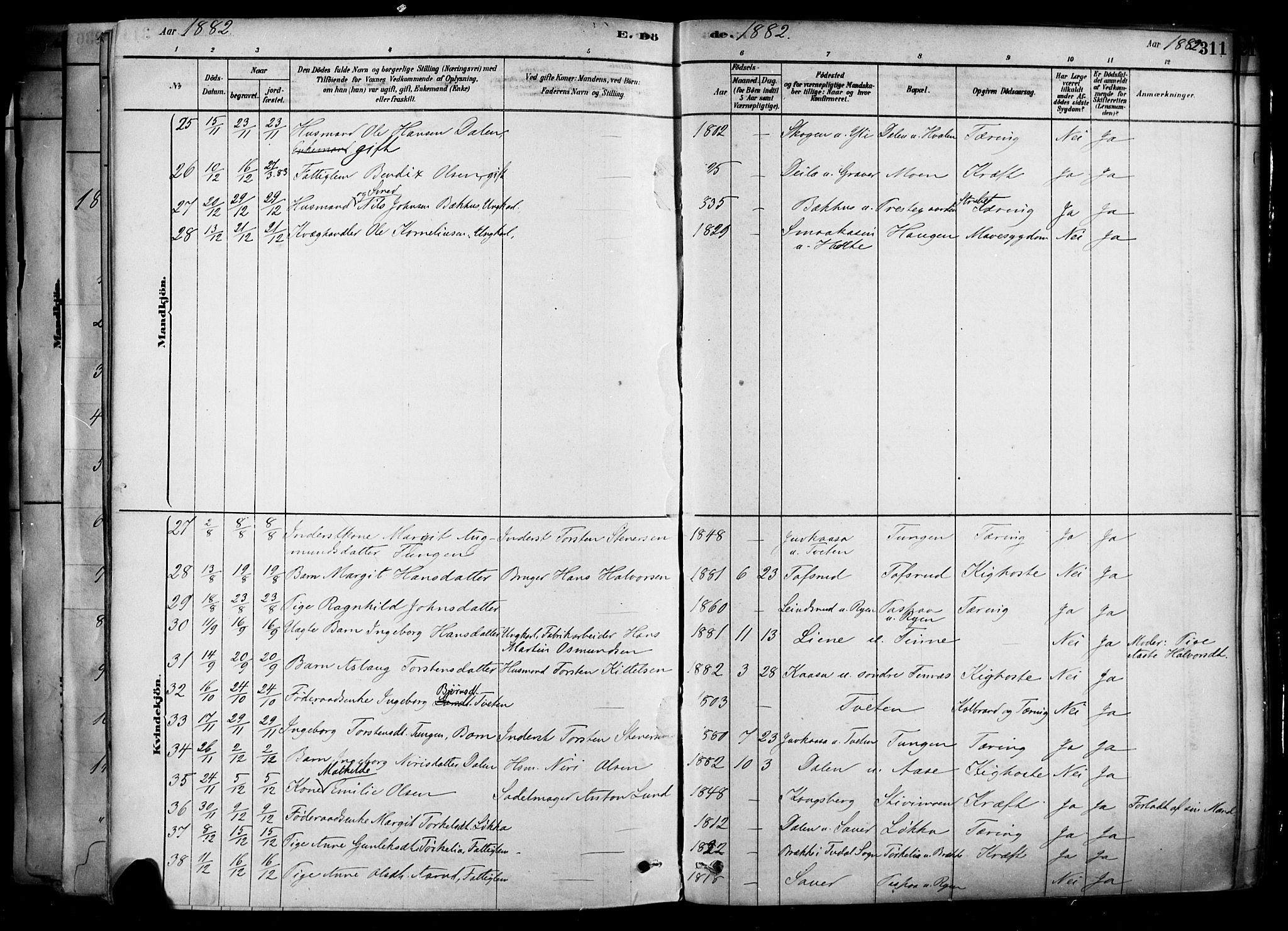 Heddal kirkebøker, AV/SAKO-A-268/F/Fa/L0008: Parish register (official) no. I 8, 1878-1903, p. 311