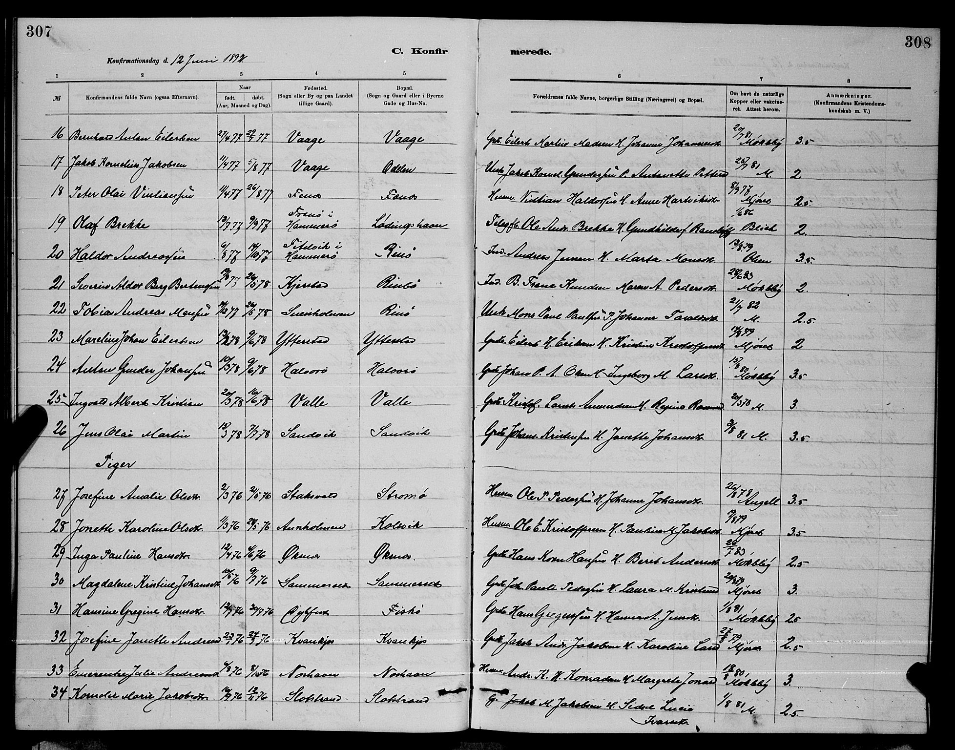 Ministerialprotokoller, klokkerbøker og fødselsregistre - Nordland, AV/SAT-A-1459/872/L1047: Parish register (copy) no. 872C03, 1880-1897, p. 307-308