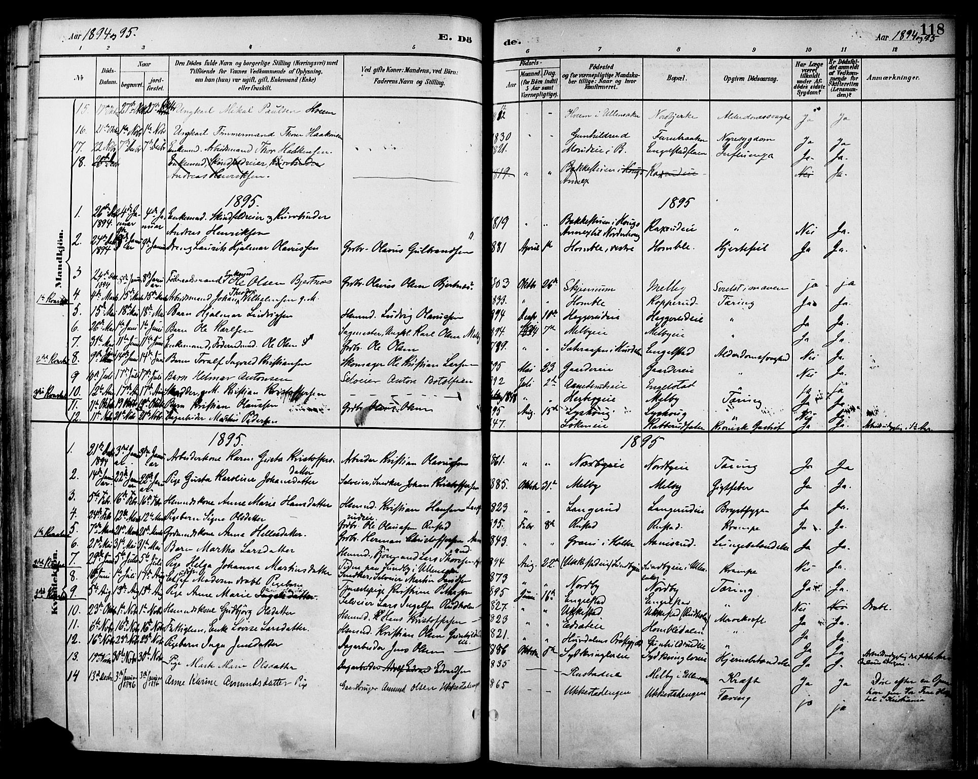 Nannestad prestekontor Kirkebøker, SAO/A-10414a/F/Fa/L0015: Parish register (official) no. I 15, 1891-1905, p. 118