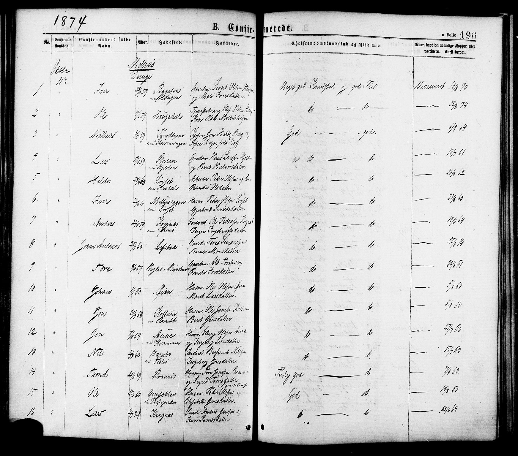 Ministerialprotokoller, klokkerbøker og fødselsregistre - Sør-Trøndelag, AV/SAT-A-1456/691/L1079: Parish register (official) no. 691A11, 1873-1886, p. 190
